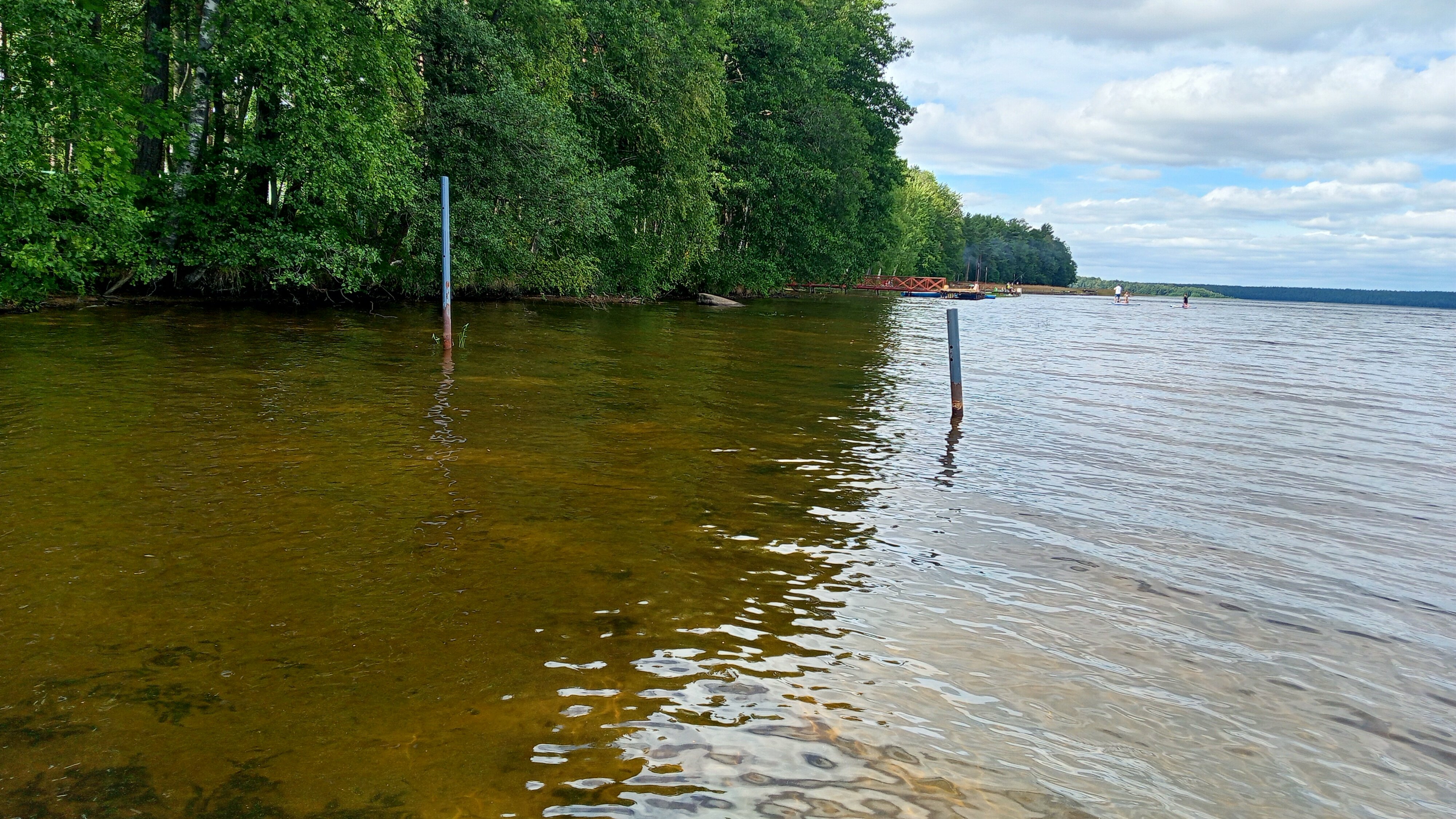 Фото Аврора