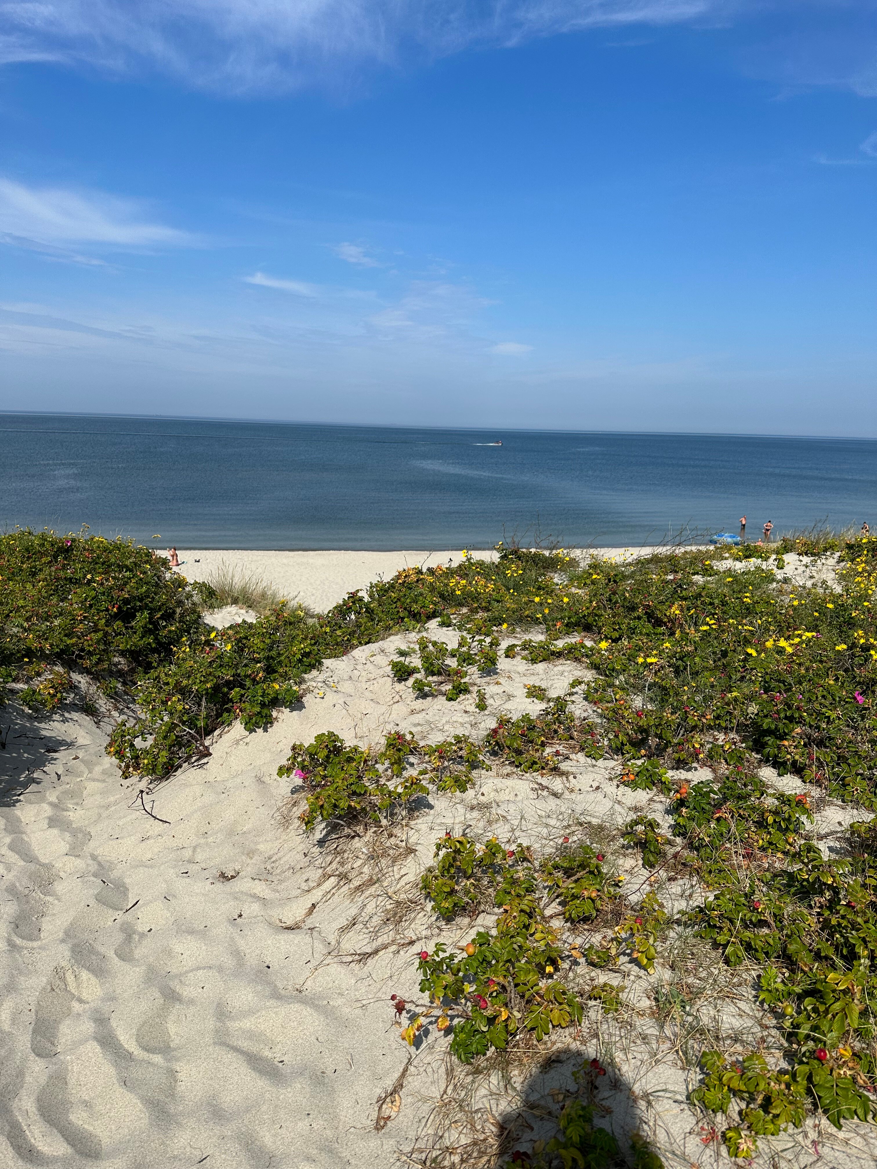 Фото Песок и Море