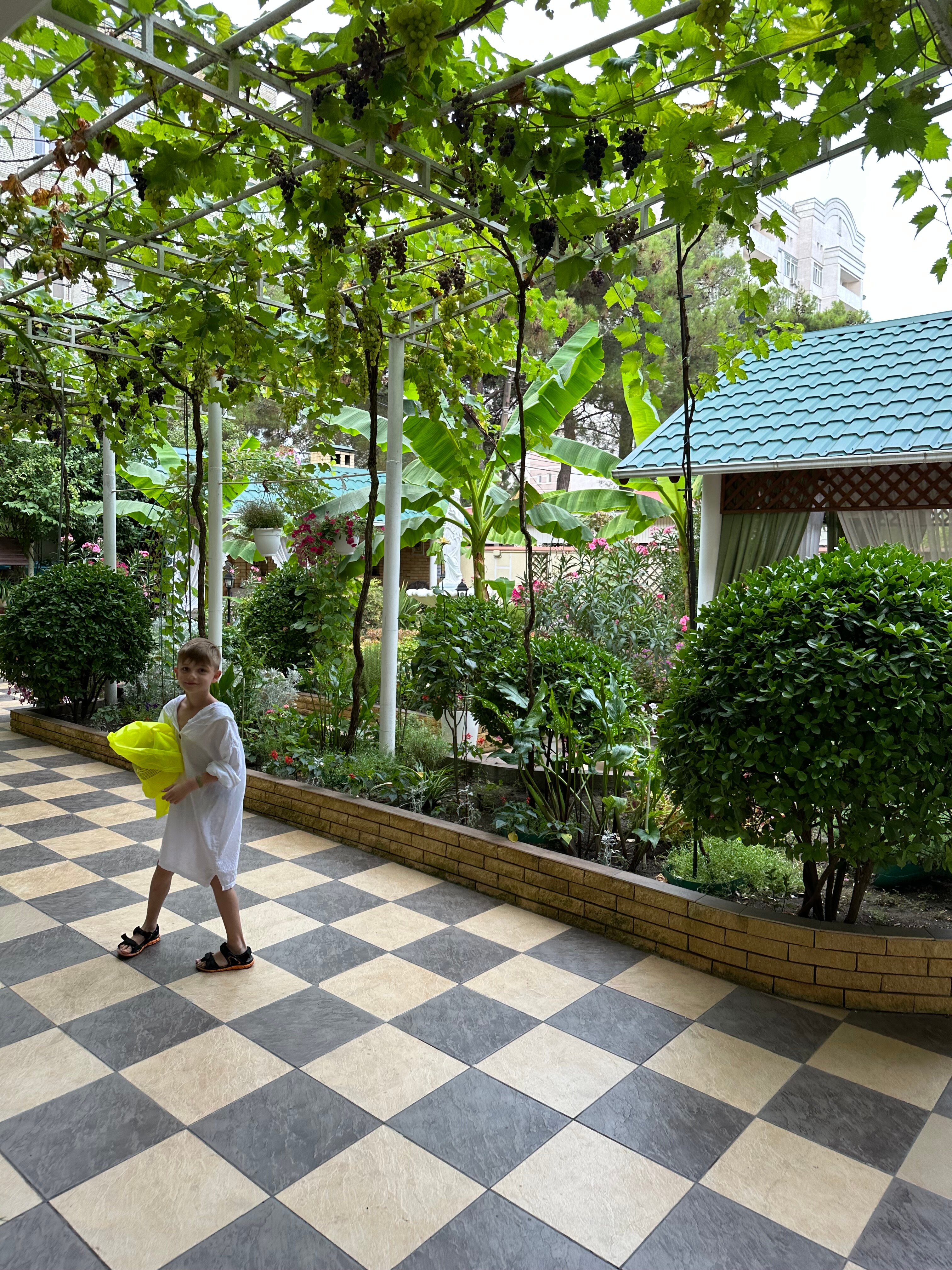 Фото Акварель