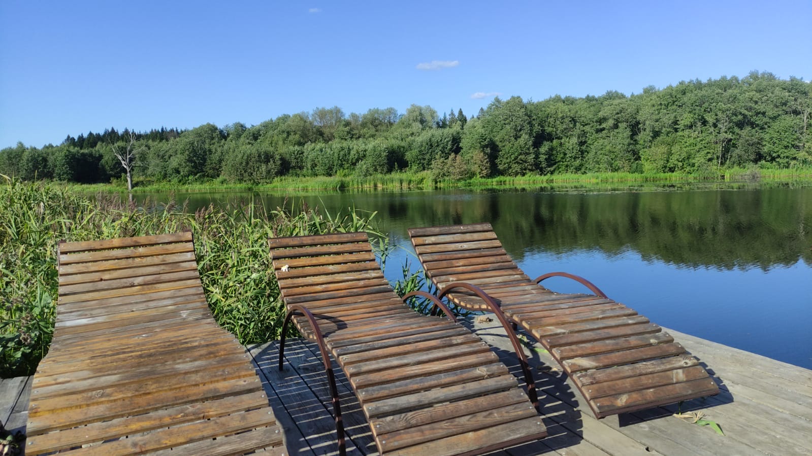 Фото Эль ранчо