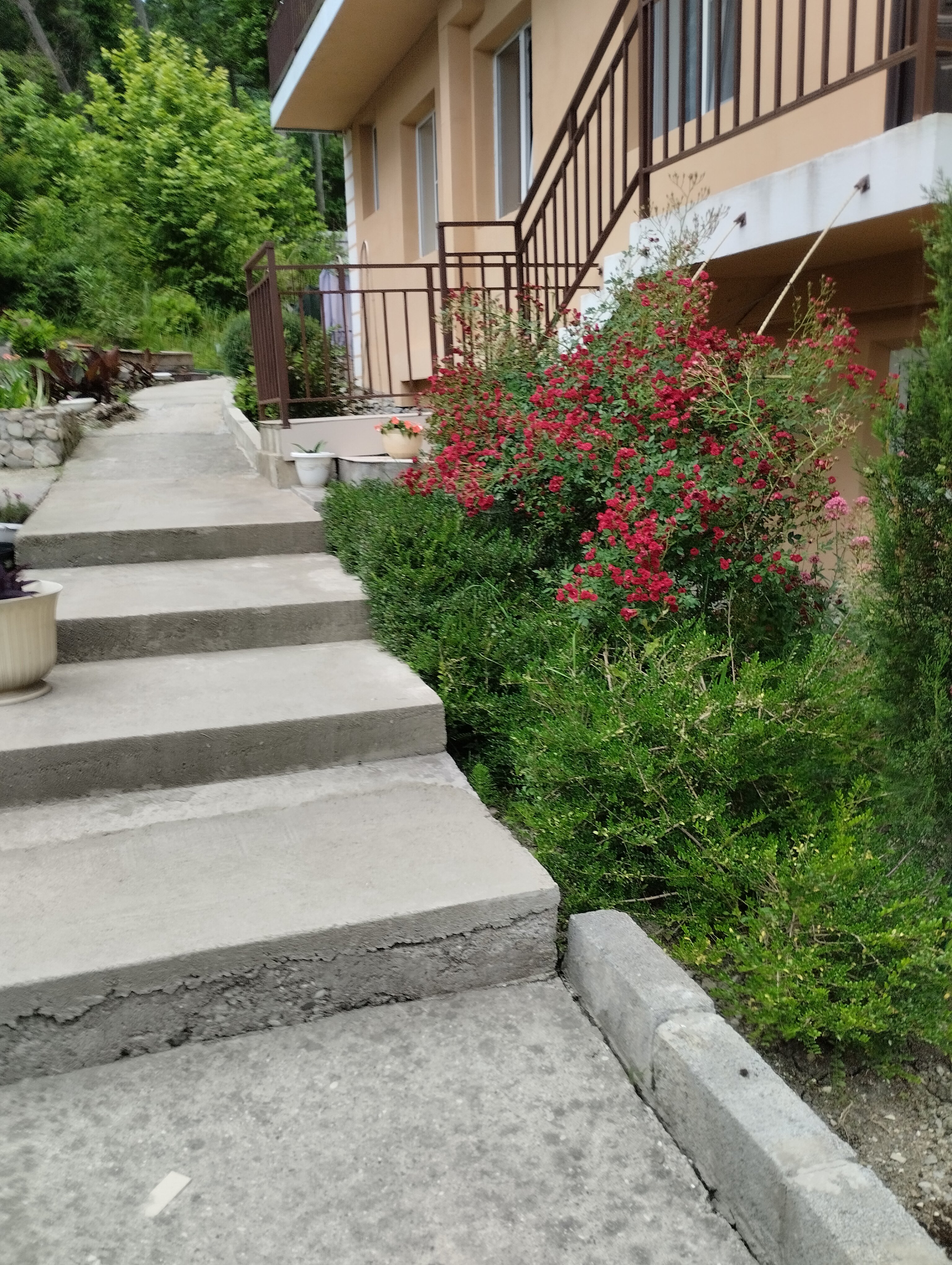 Фото Томичка