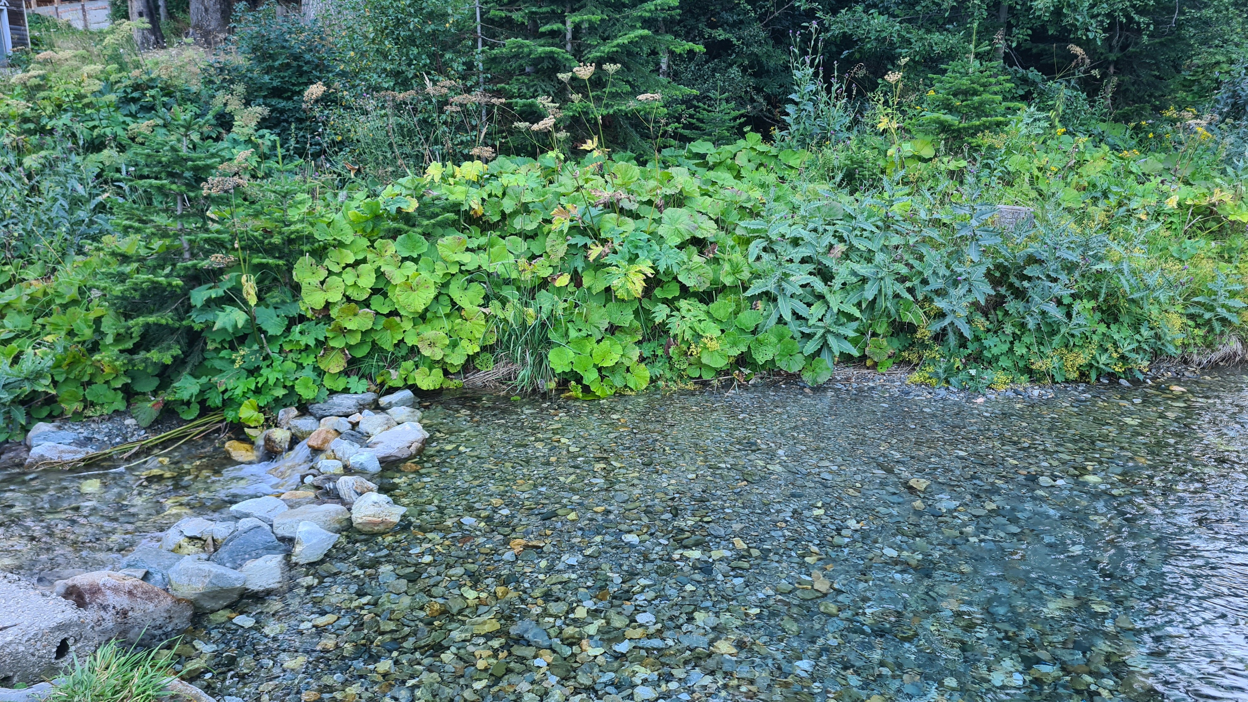 Фото Гостиница Алибек