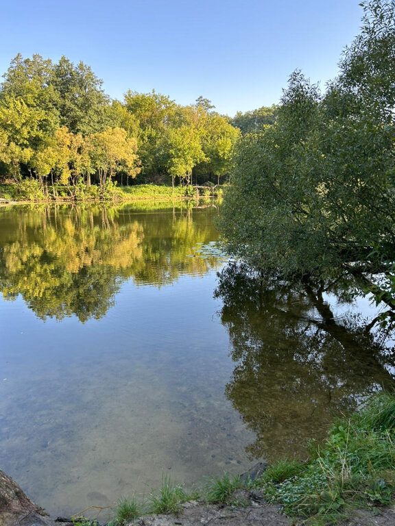 Фото Амакс Парк-отель
