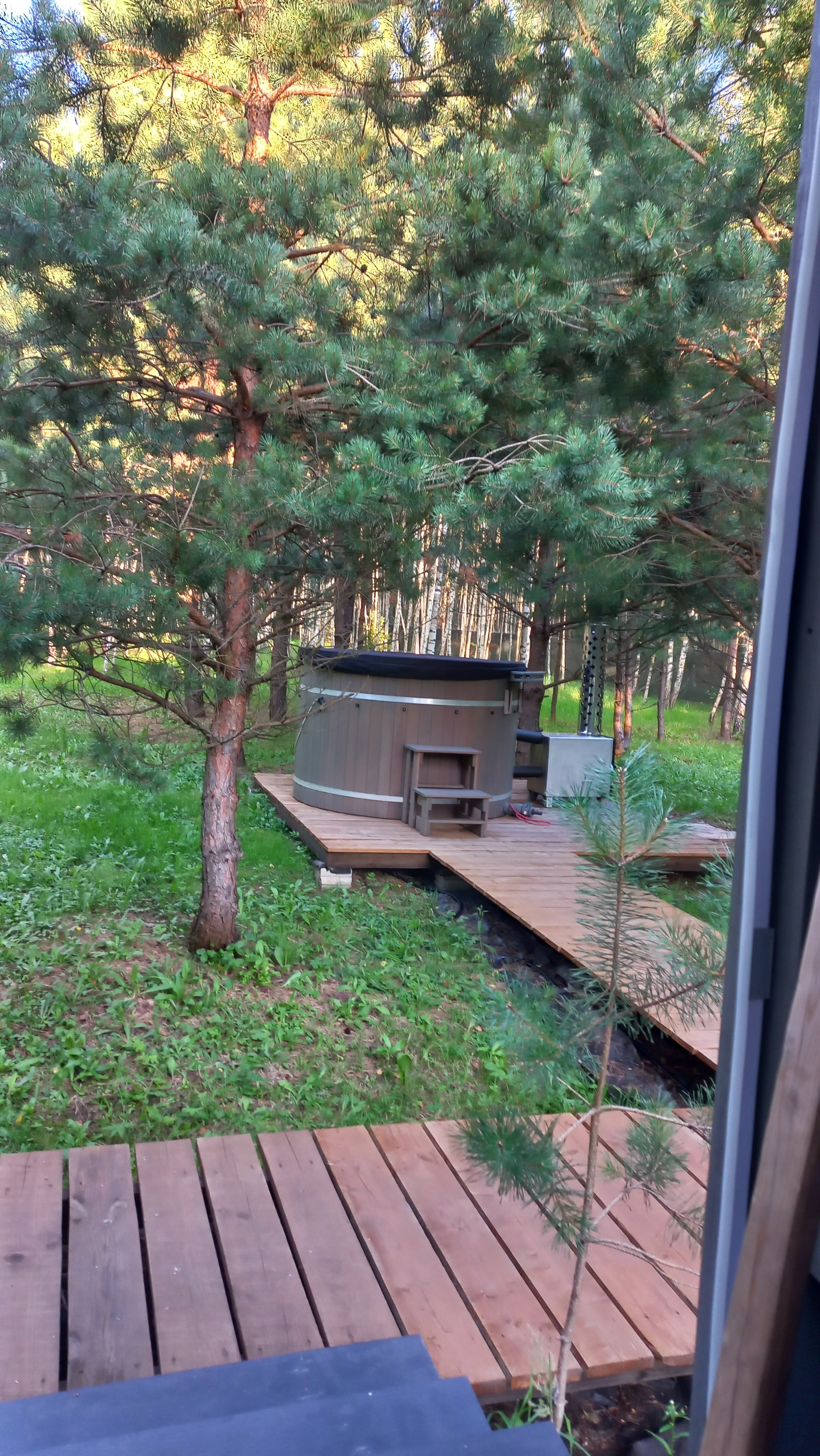 Фото Дыши лесом