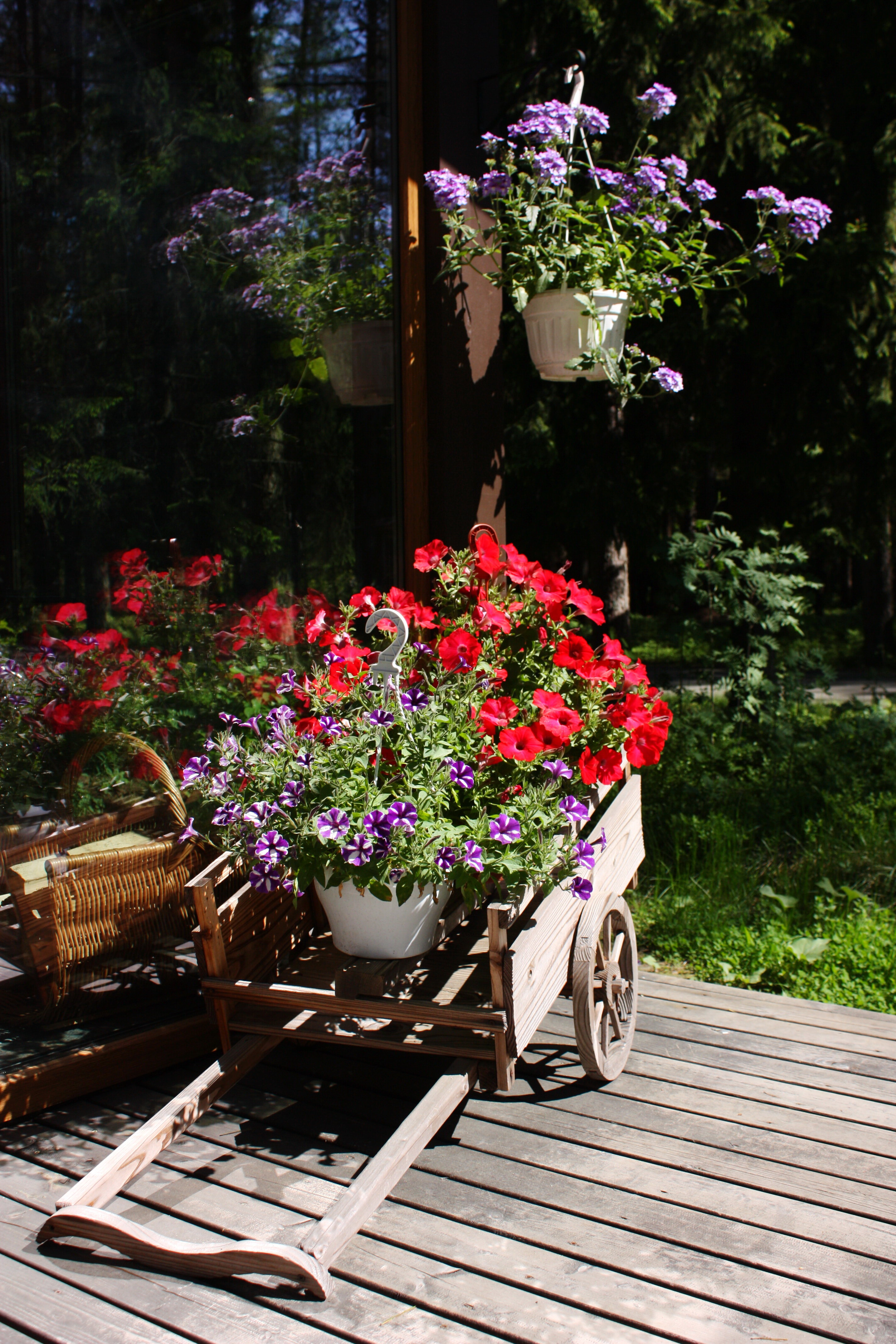 Фото Лесная обитель