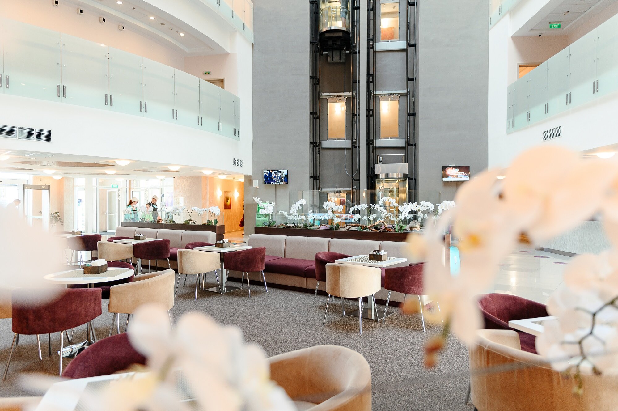 Фото Омега Сириус