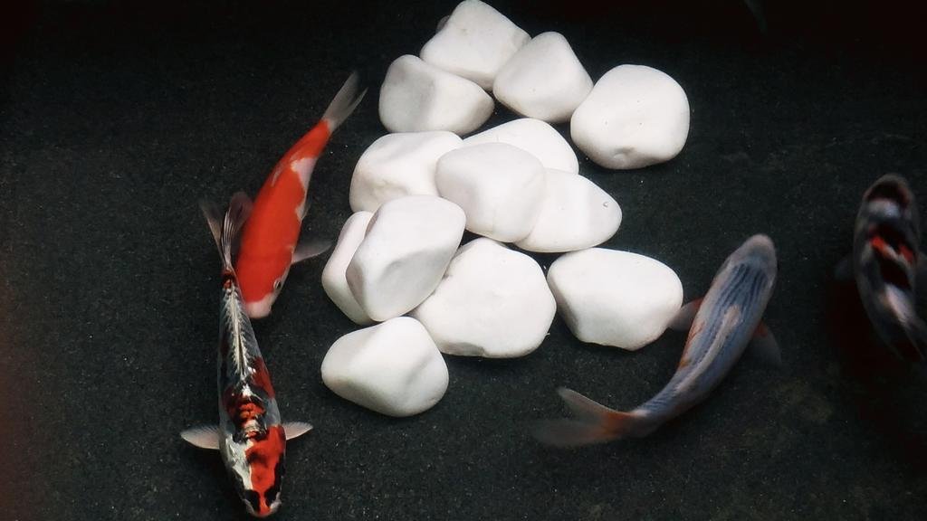 Фото Wharney Hotel