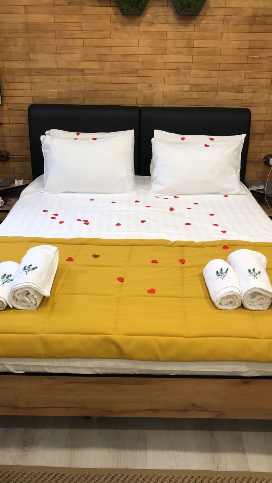 Фото Розмарин