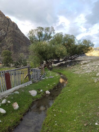 Жасырын камера дәретхананың жоғарғы көрінісі