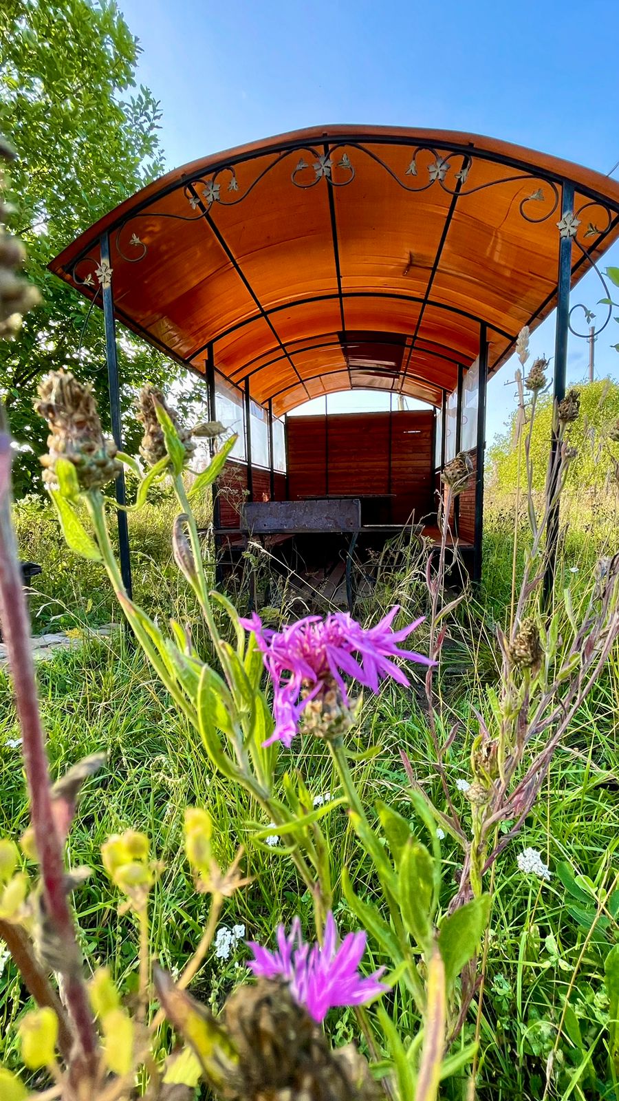 Фото Samsonov Hotels