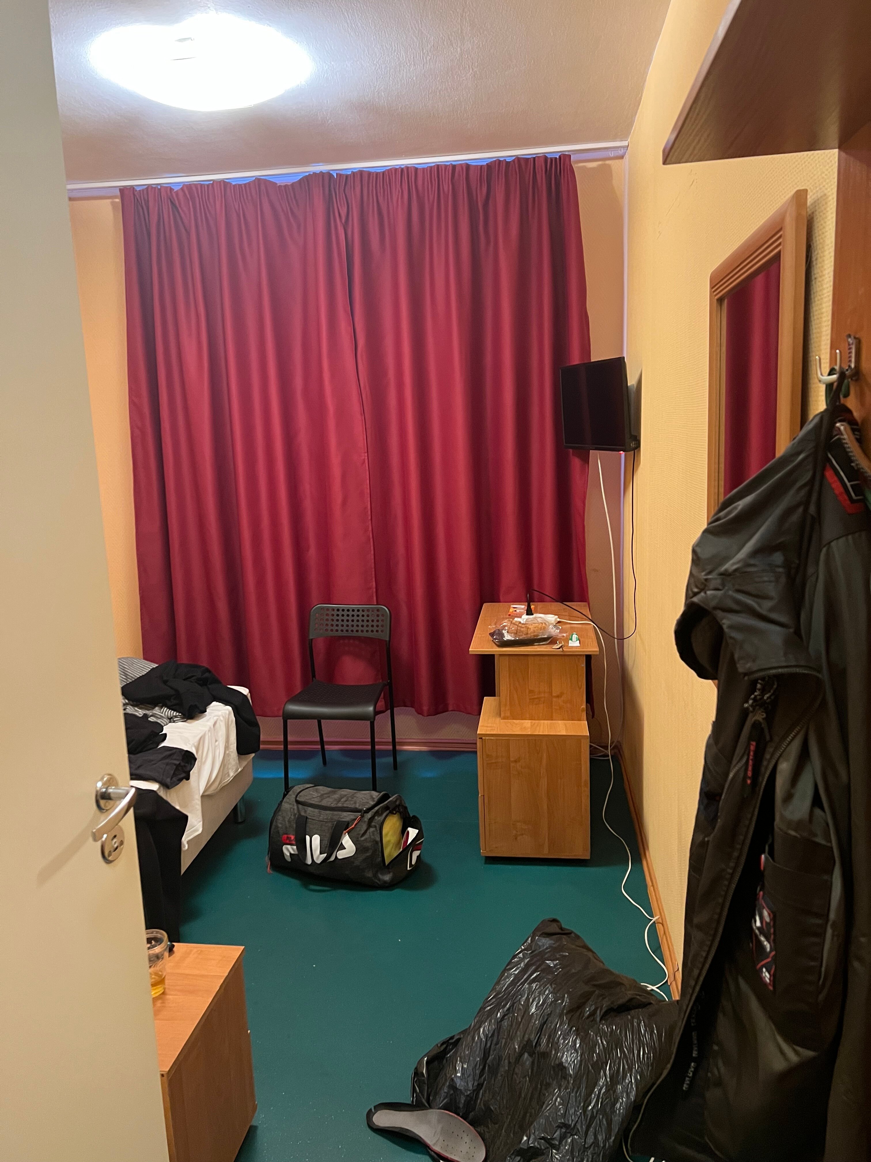 Фото Снегири