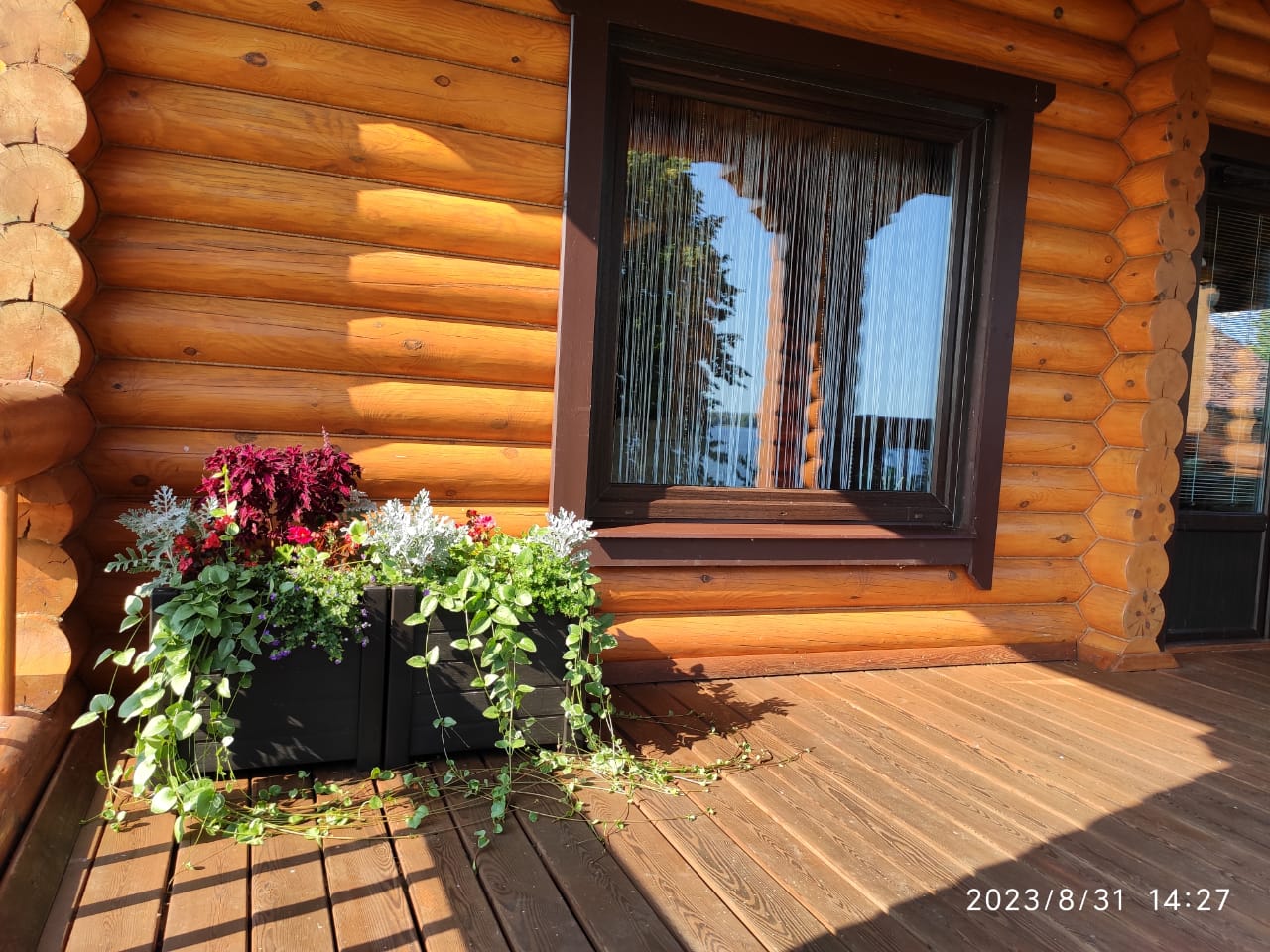 Фото Дом на Волге