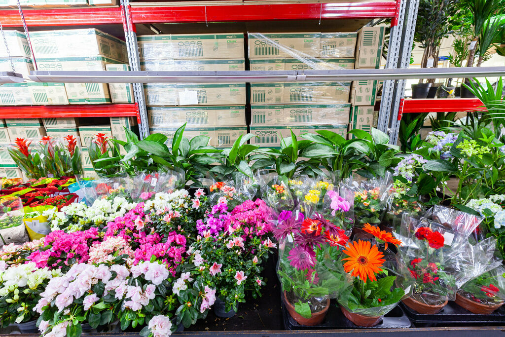 Магазин цветов Флора Юг, Москва, фото