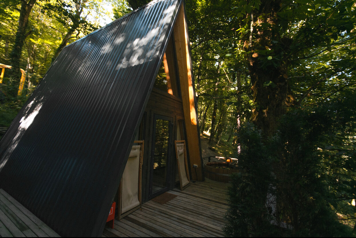 Фото Дзен Поляна