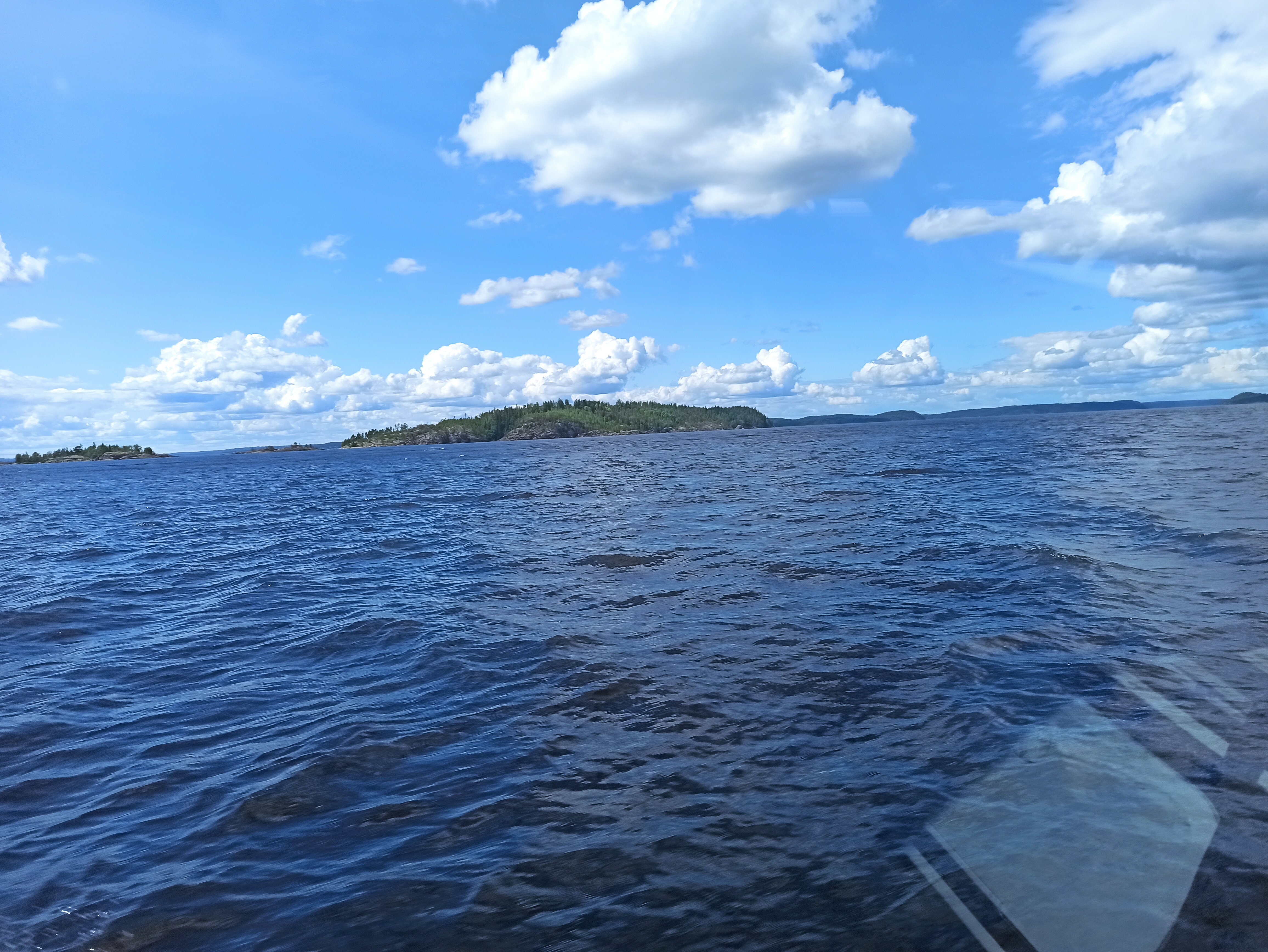 Фото Черная жемчужина