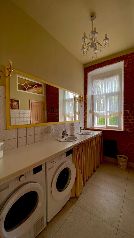 Фото Два гуся