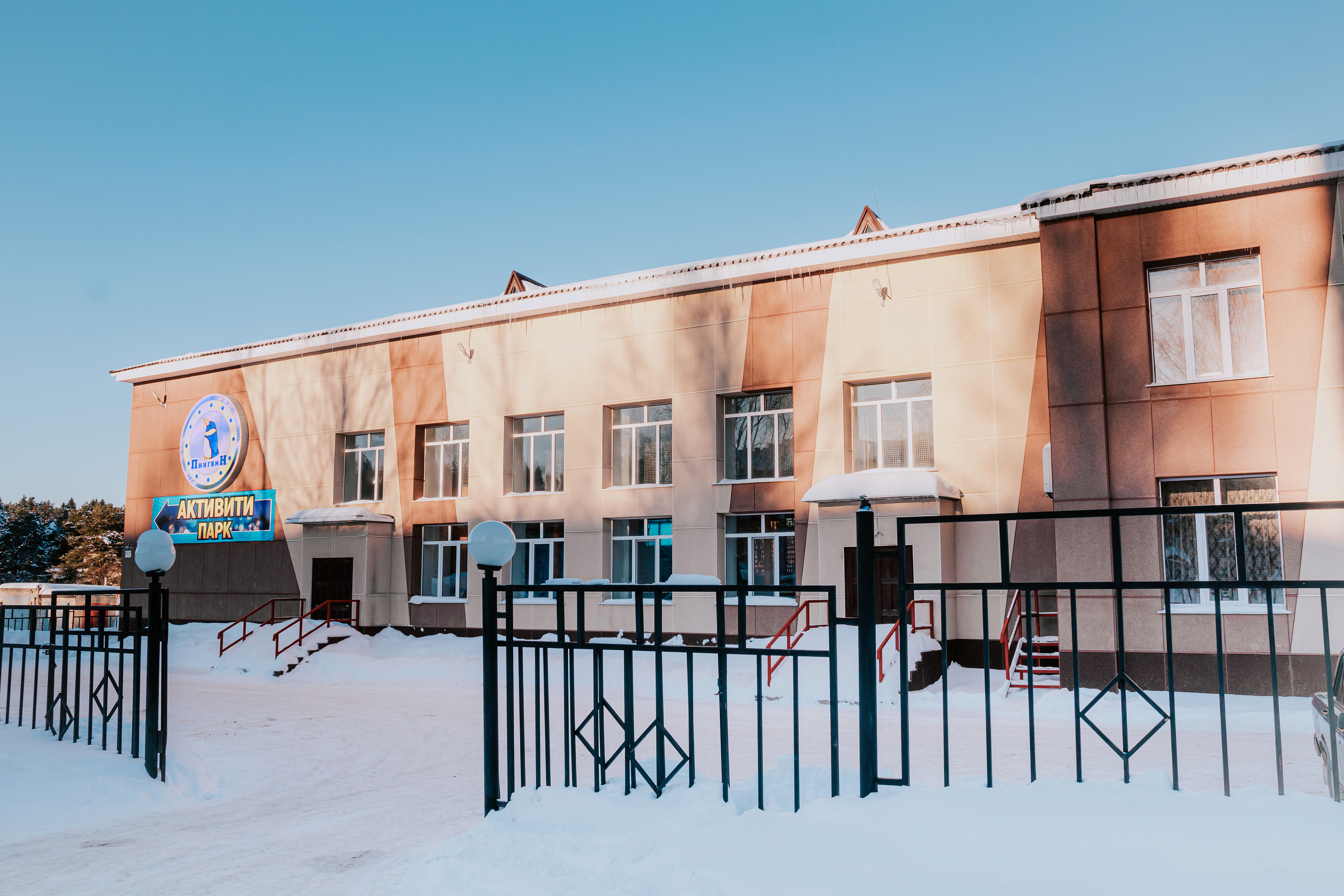 Фото ПингвиН