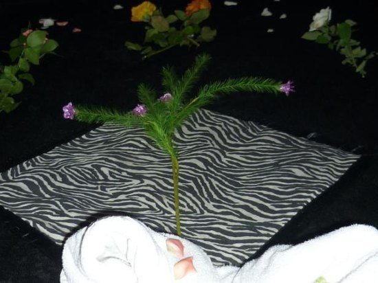 Фото Отель Agnaoue