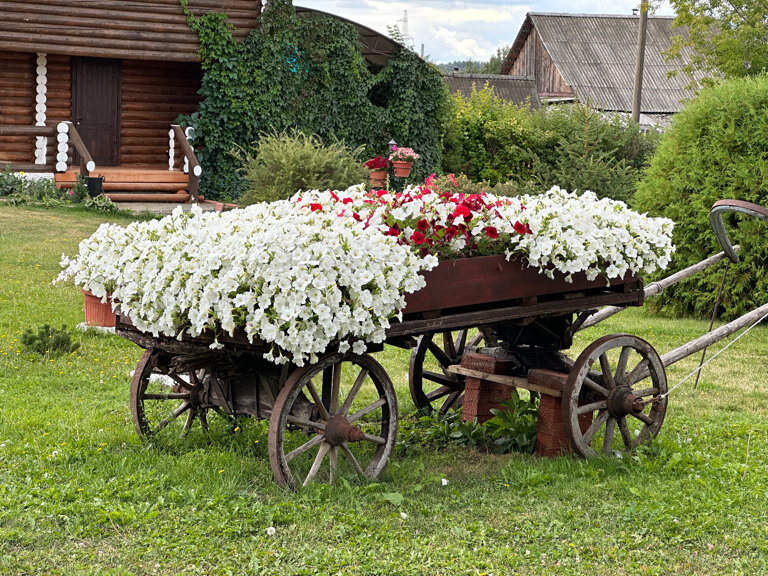 Фото Берендей