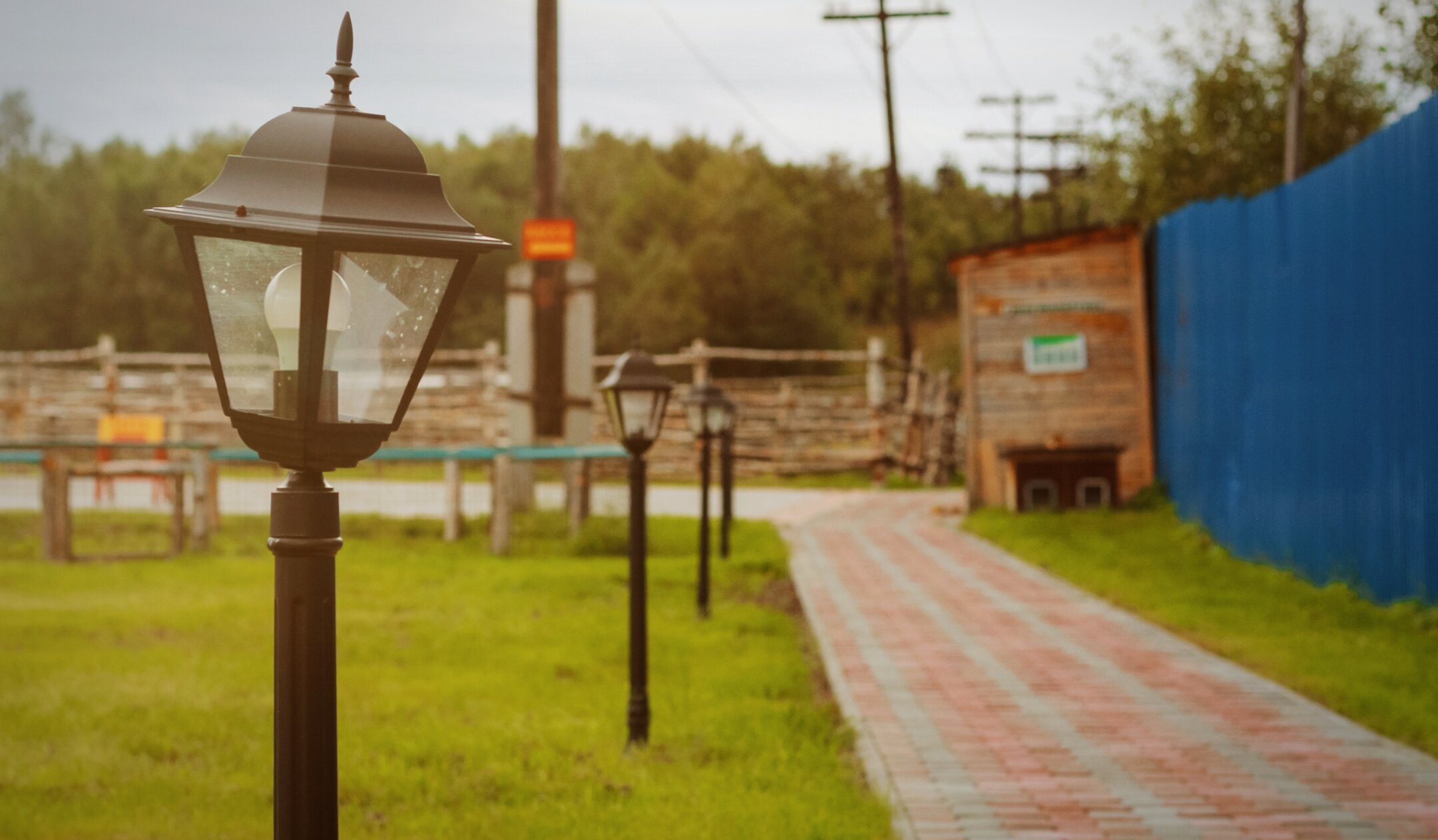 Фото Мурманская страусиная ферма