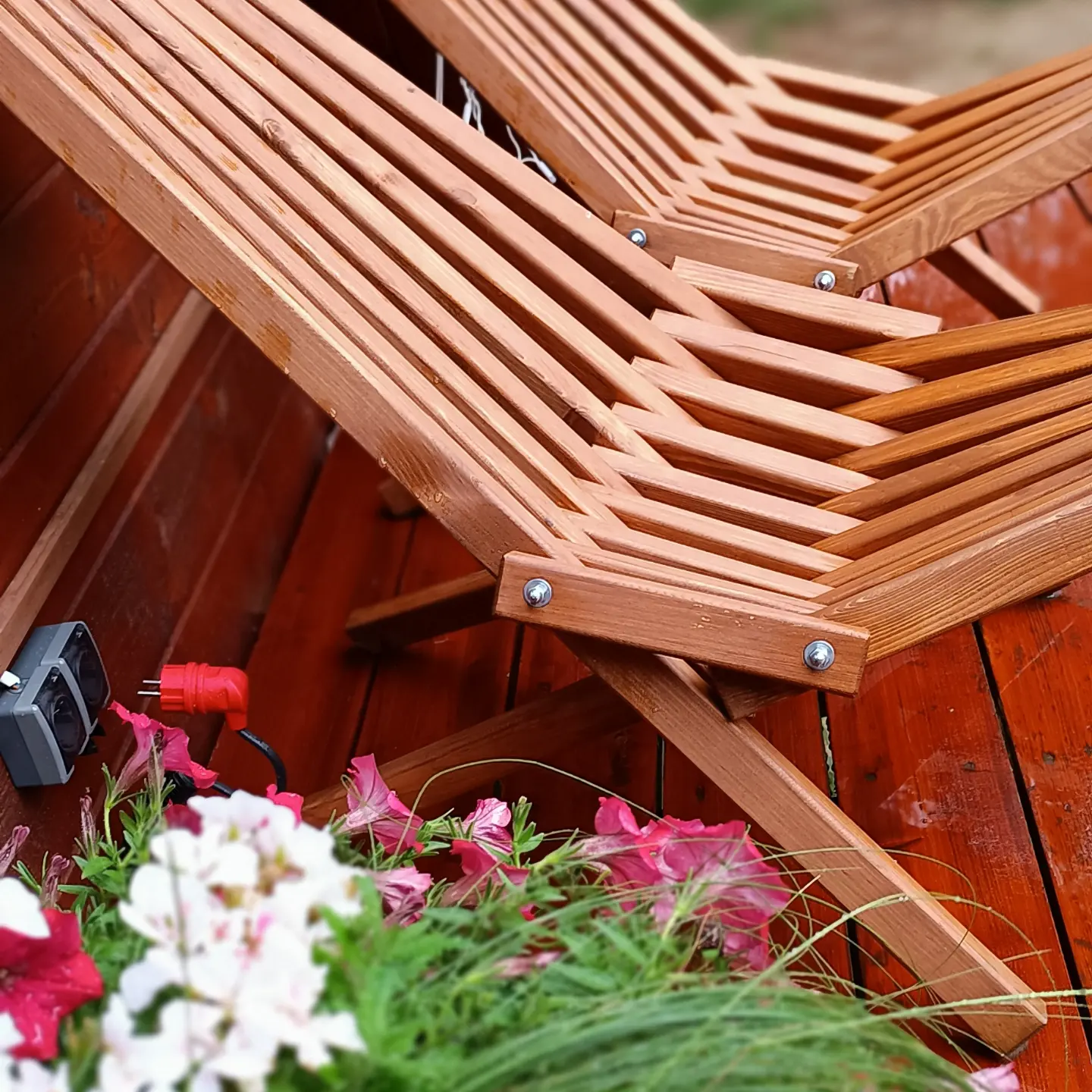 Фото Чик-чирик