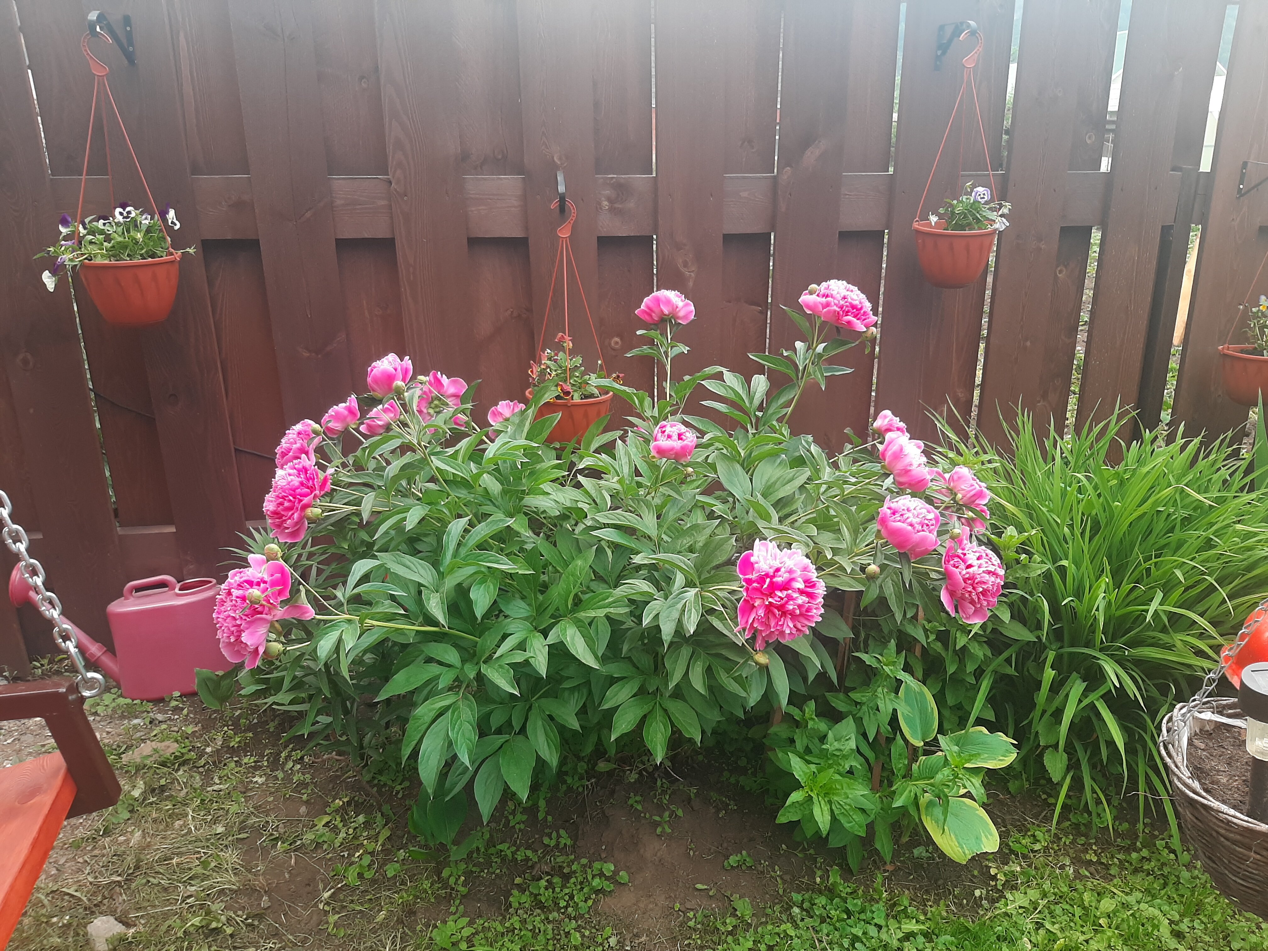 Фото Фараонова Дача