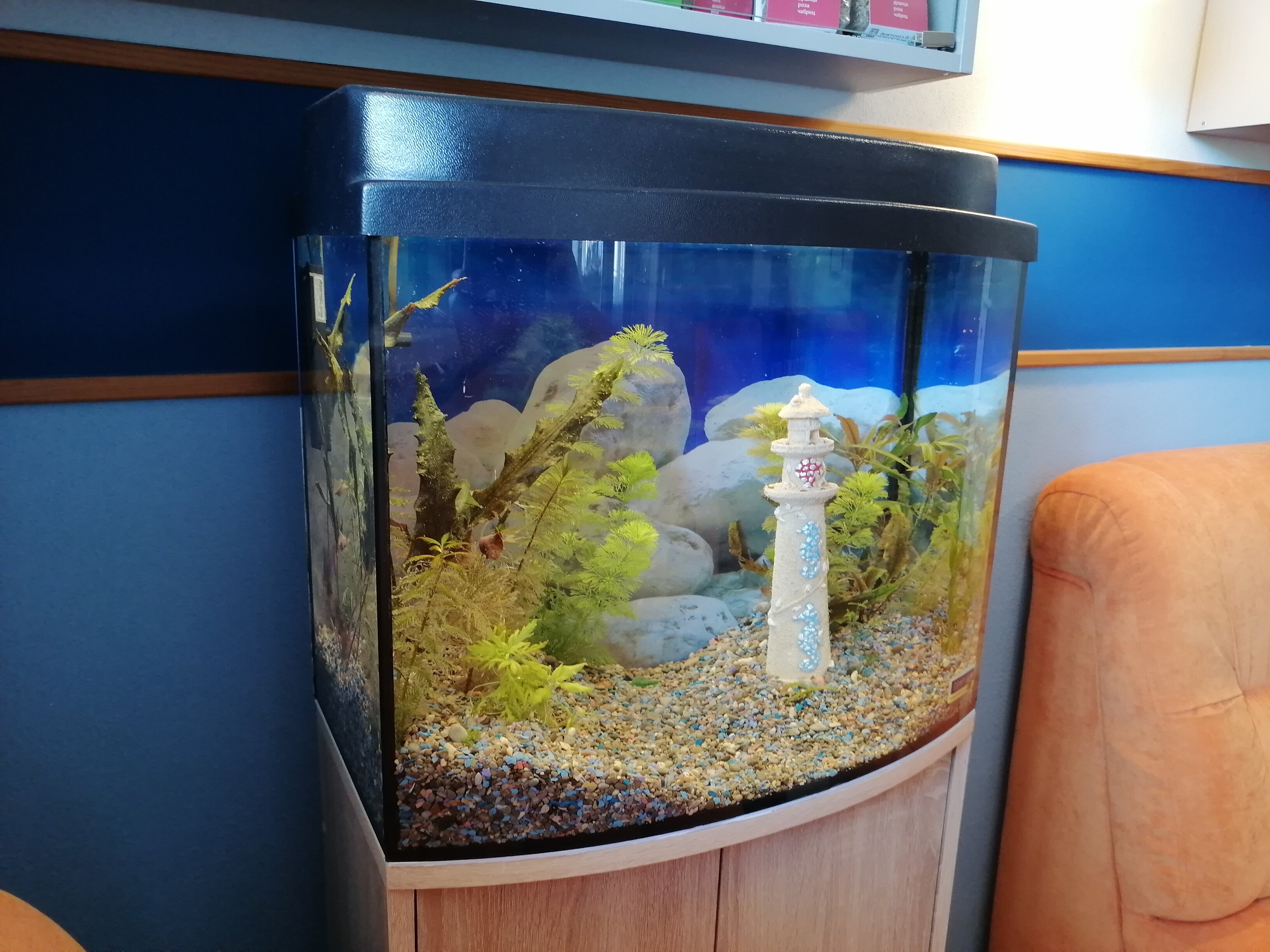 Фото Два маяка