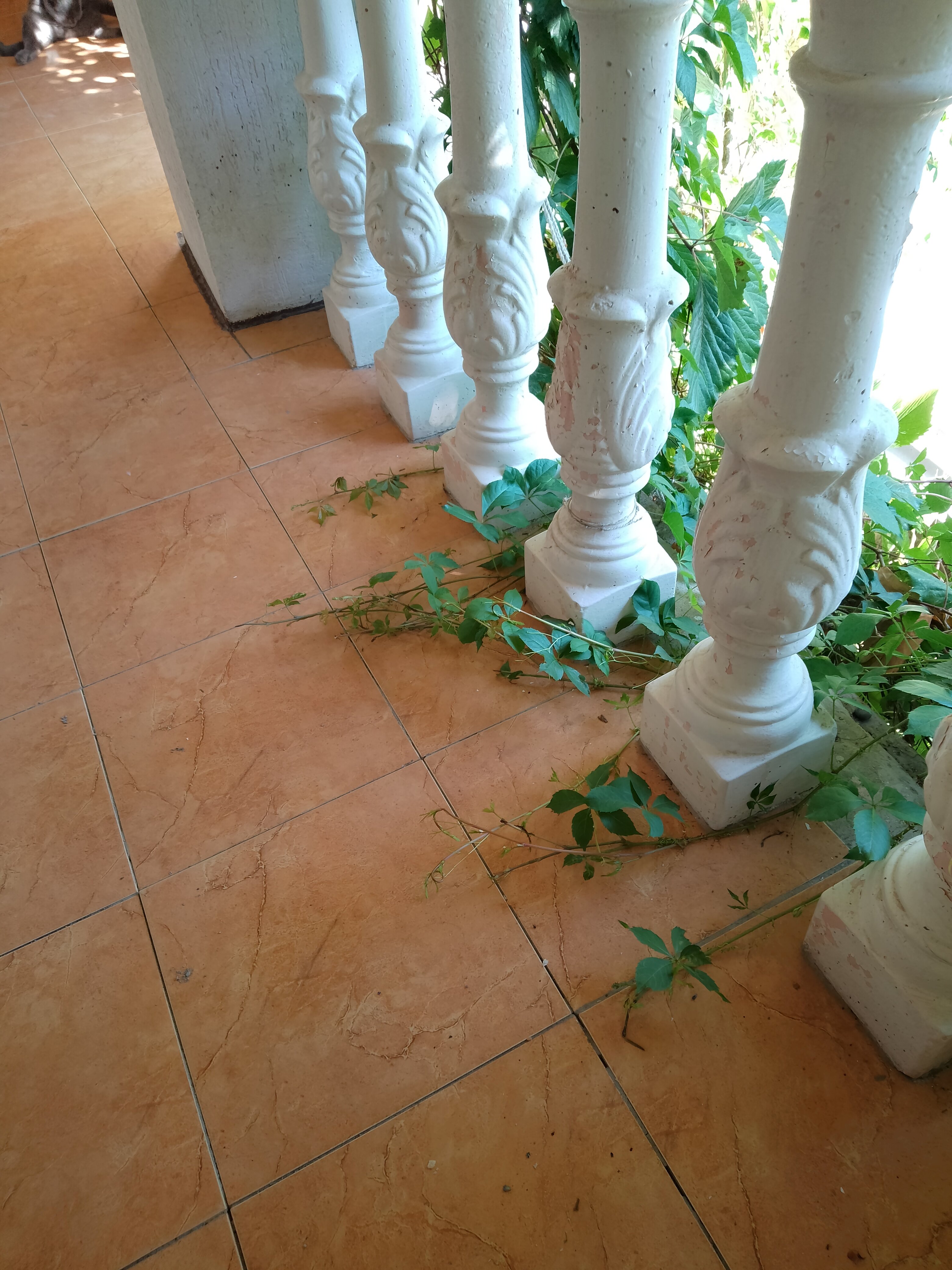 Фото Рандеву