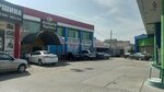 Oil change (Tamerlan tas joly, 50) ، تغيير زيت سريع