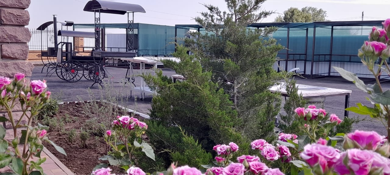 Фото Star Crystal