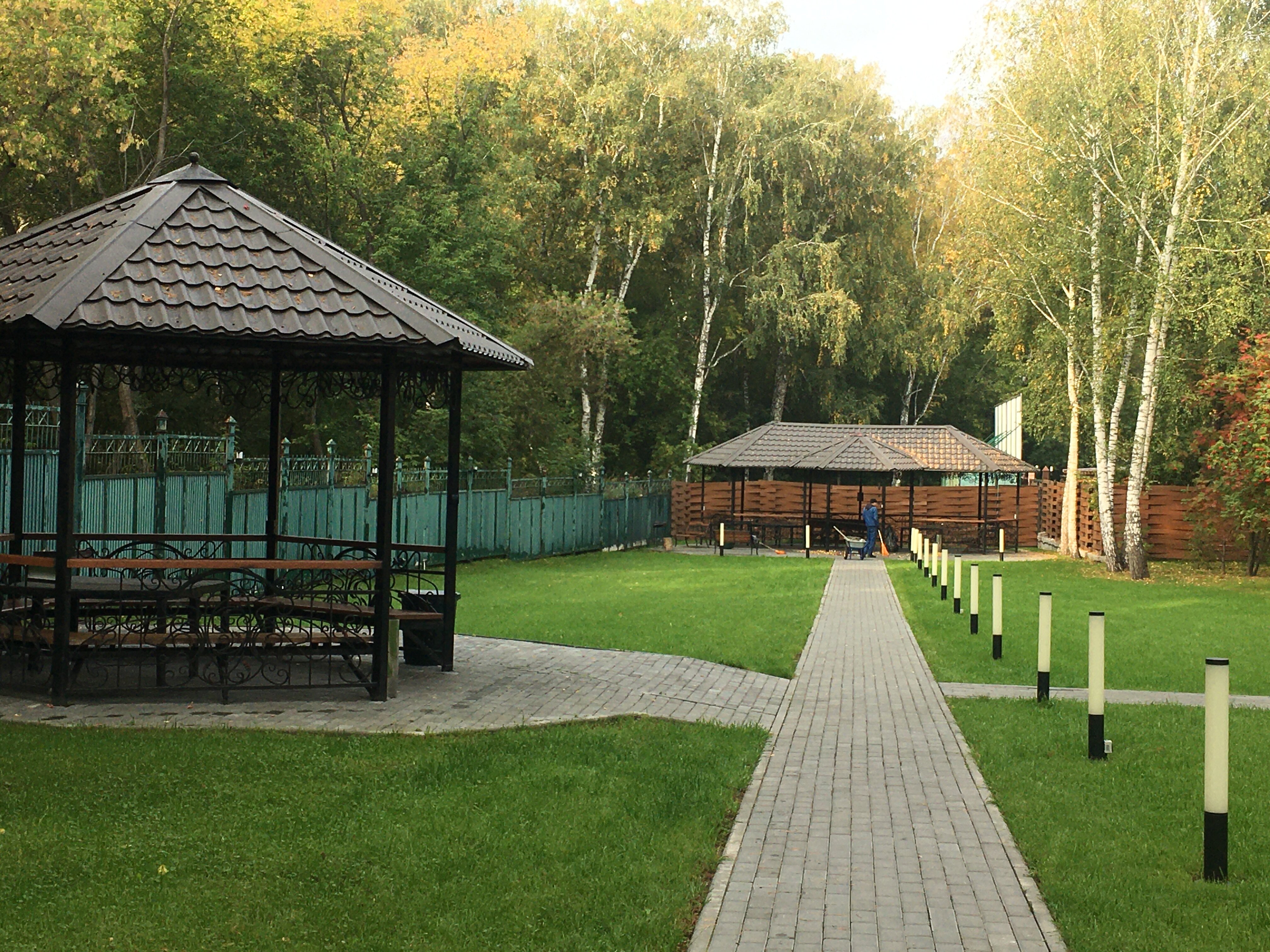 Фото Сосновый бор