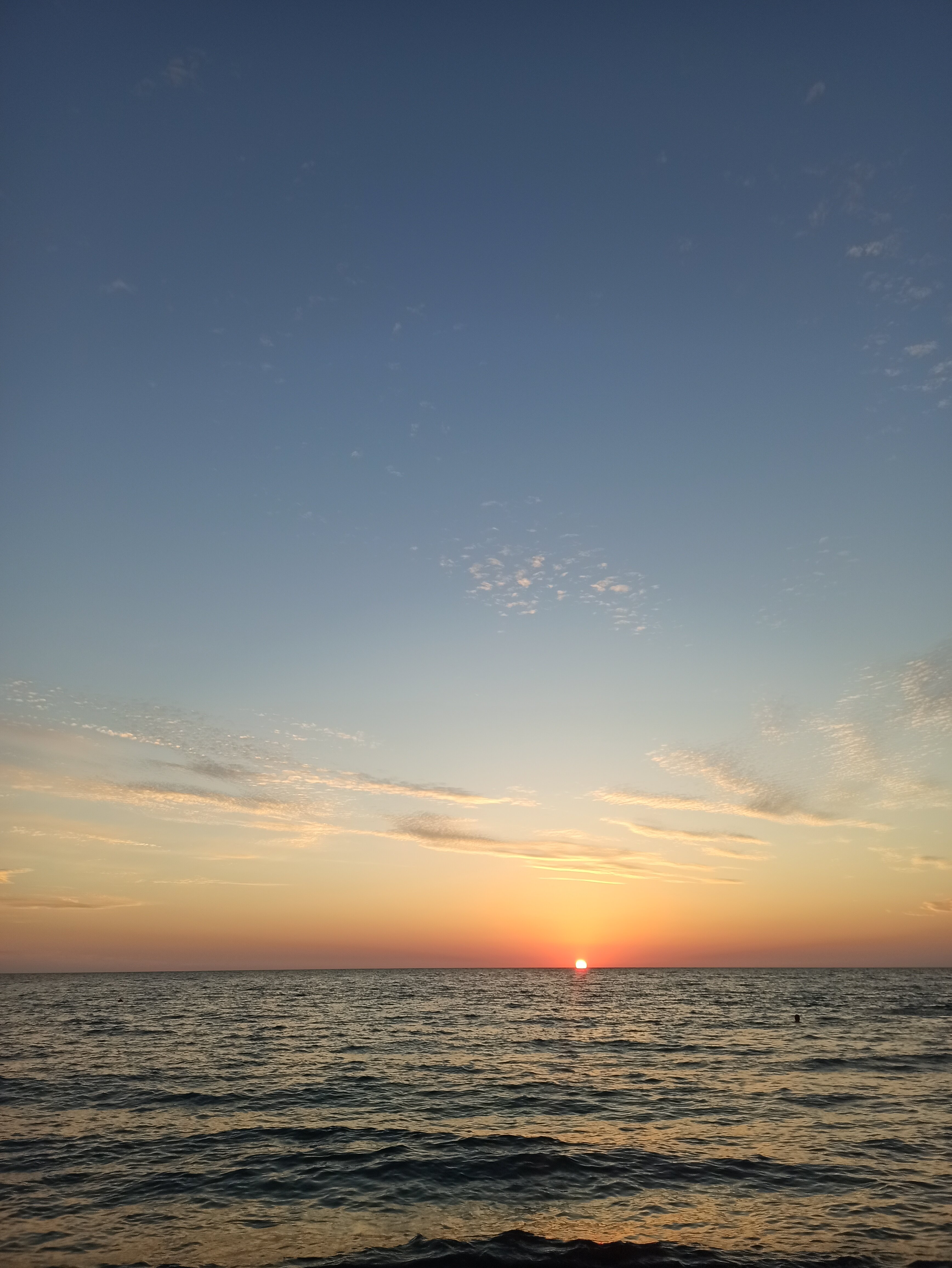 Фото Альбатрос