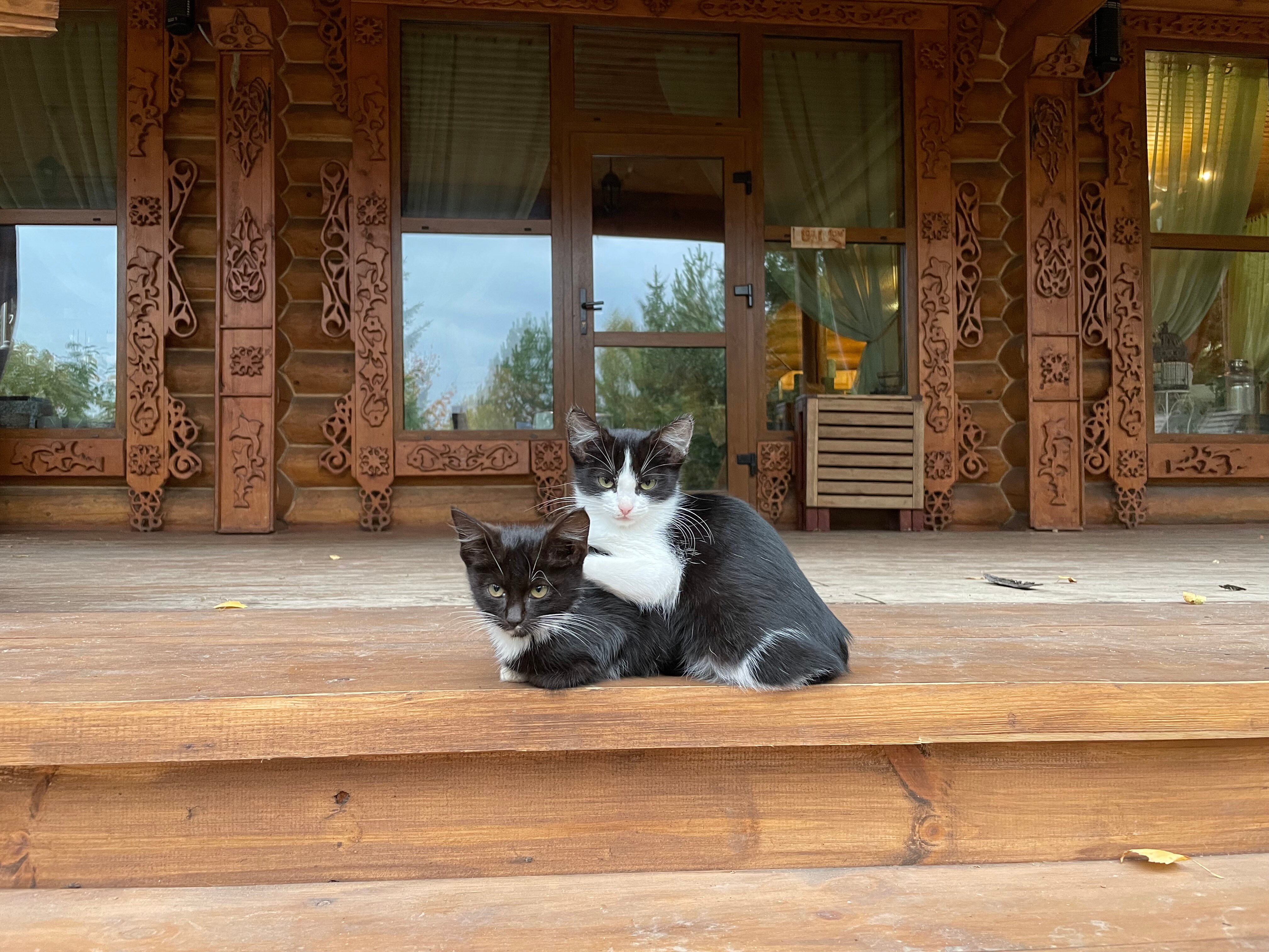 Фото Ярославна