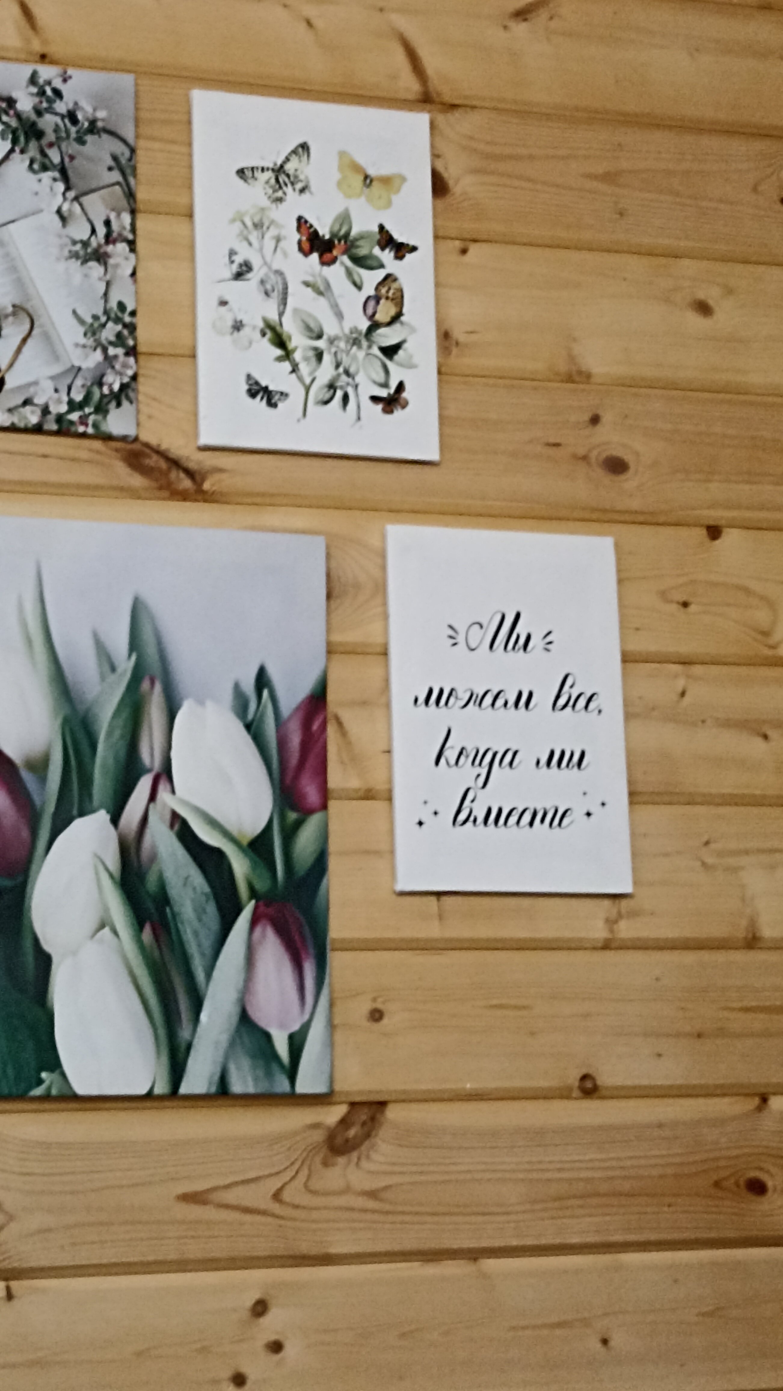 Фото Усадьба Малиновый родник