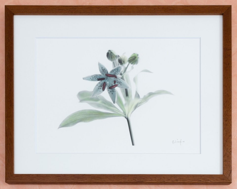 Фото Sarasa Hotel Namba