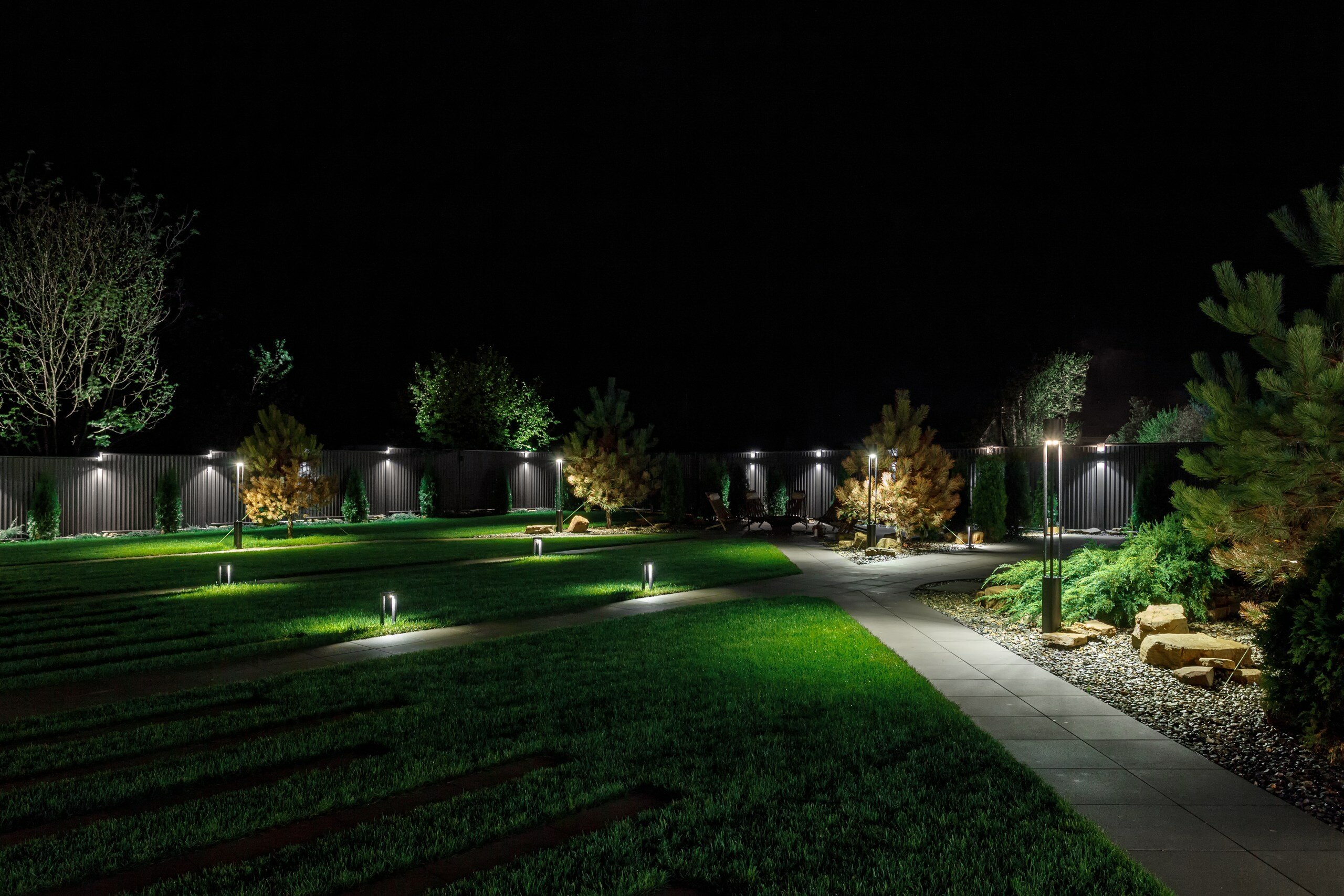 Фото 8 Сосен