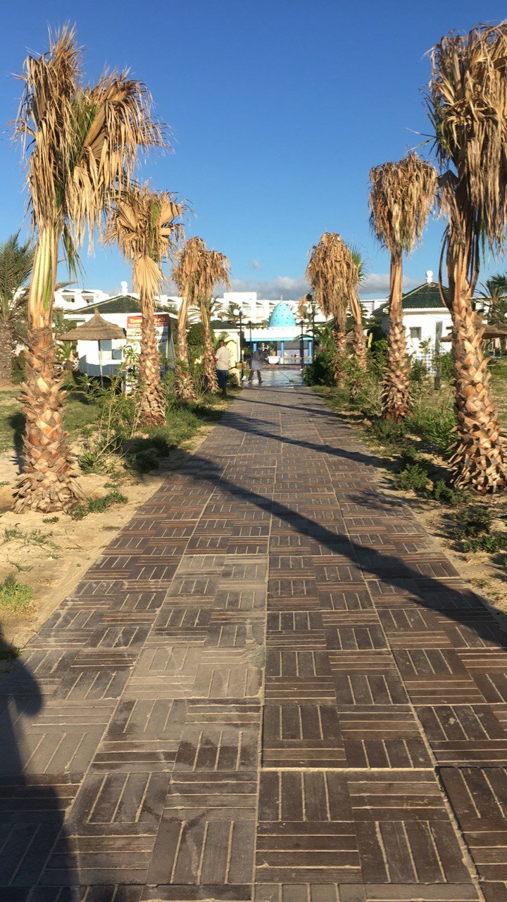 Фото Occidental Marco Polo