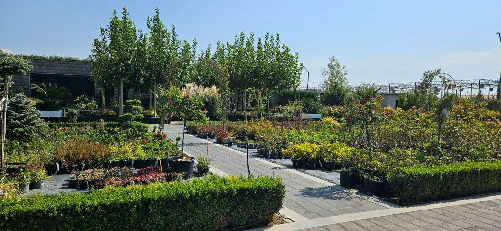 Garden center O2 Gardens, Yerevan, photo