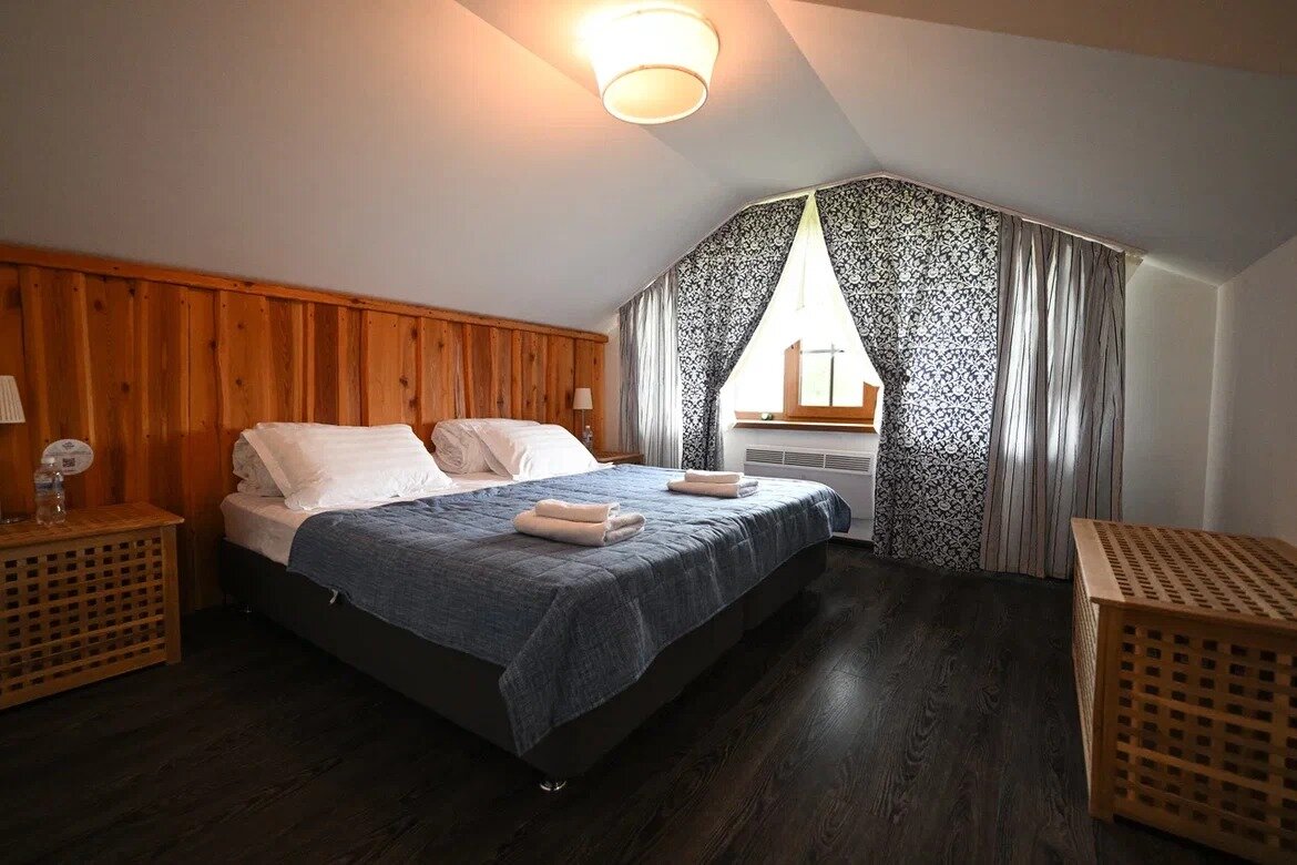 Фото Снежные Гуси