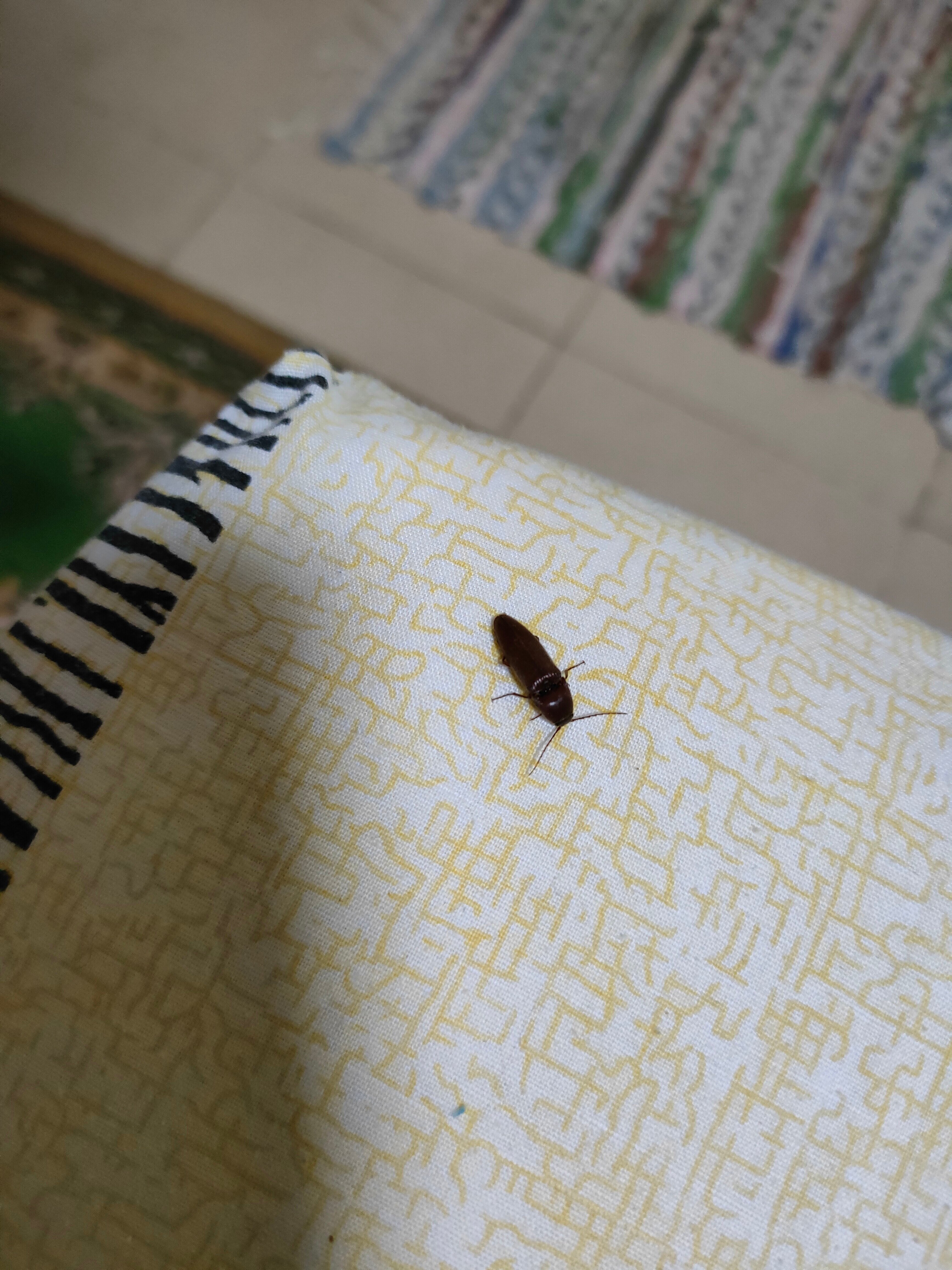 Фото Баден на Кубани