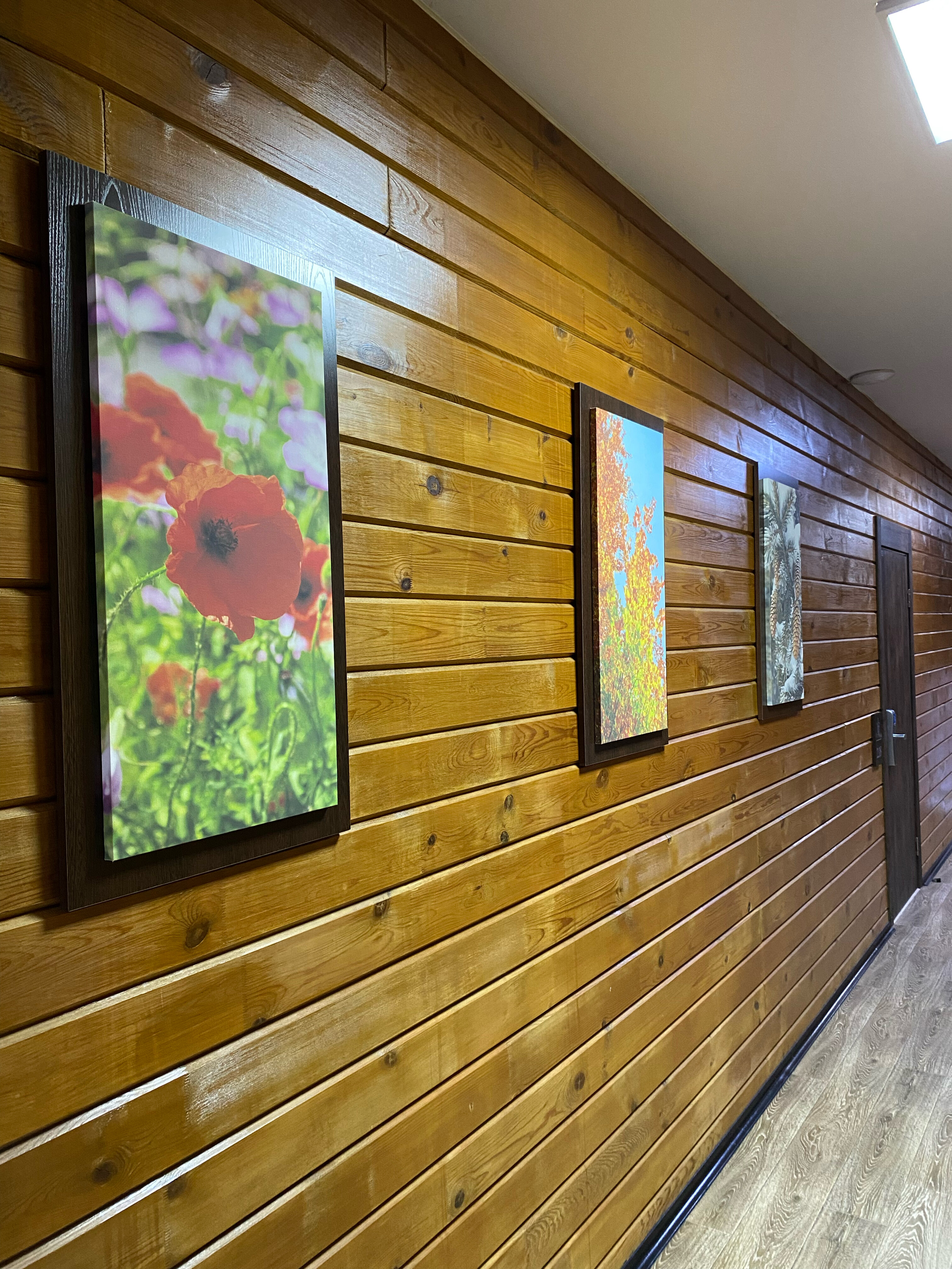 Фото Времена года