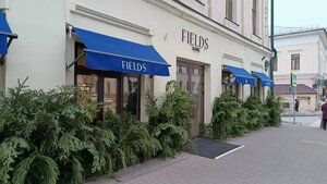 Fields (Кремлёвская ул., 9А), кафе в Казани