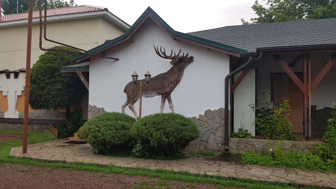 Фото Охотничий клуб