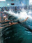 ProSwim (Lomonosova Street, 81Дк2), swimming school