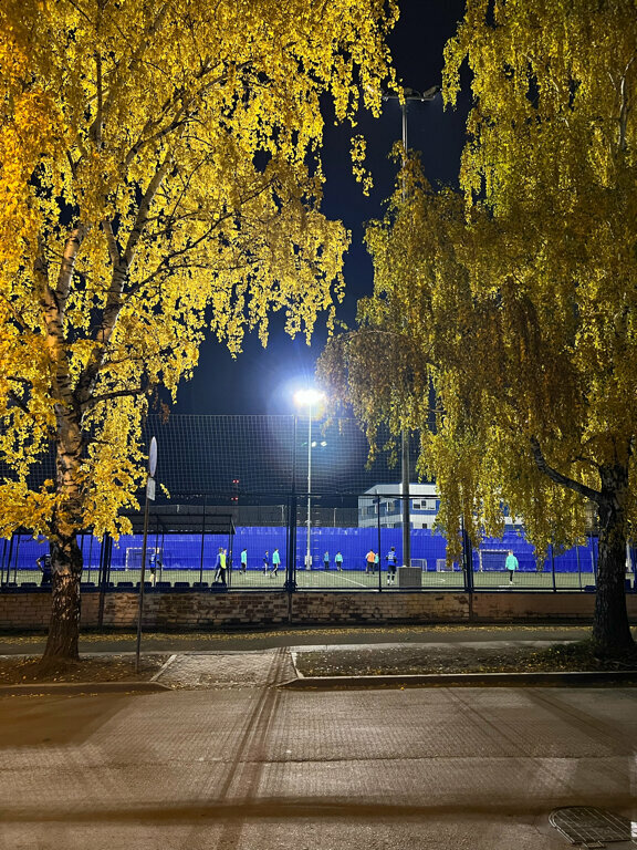 Stadium Стадион, Yekaterinburg, photo