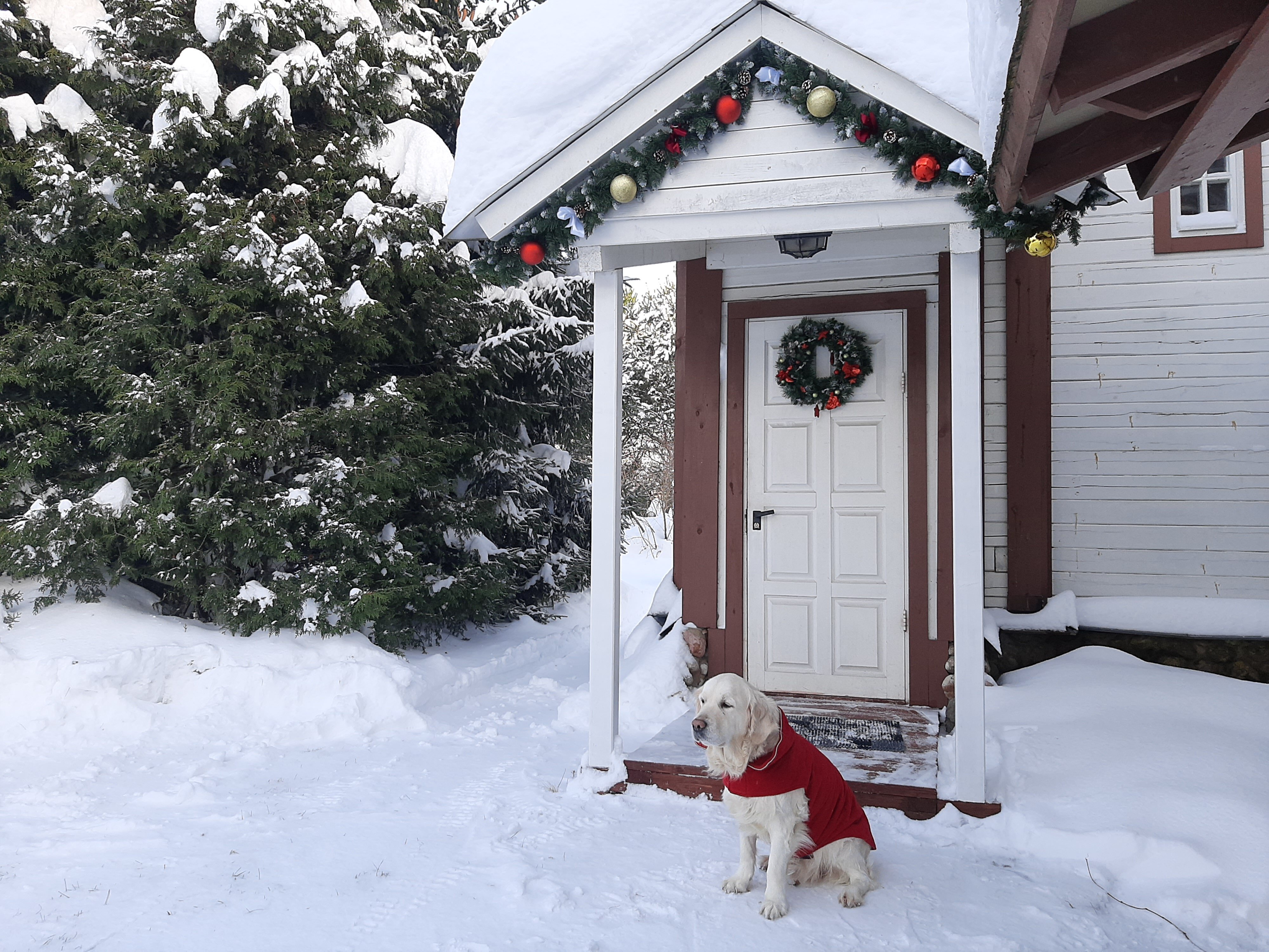Фото Поместье Старый замок