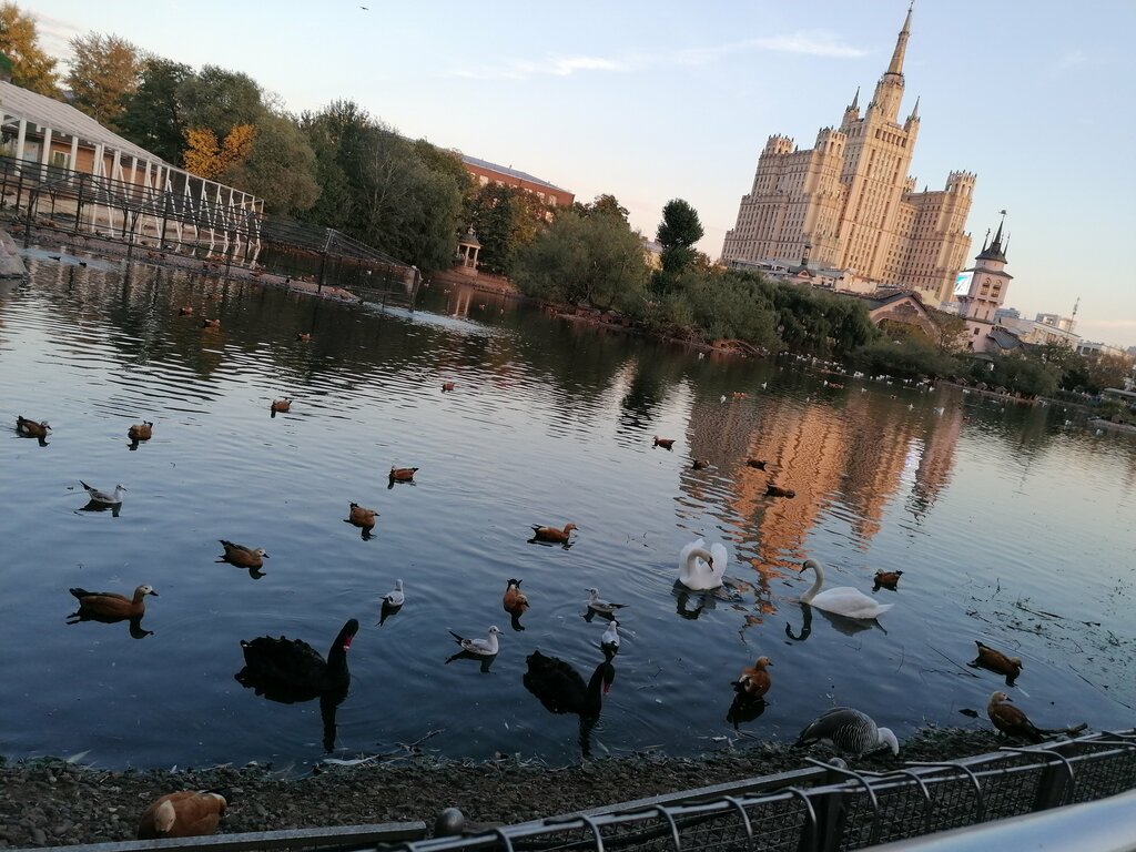 Вольер животных Фауна Китая, Москва, фото