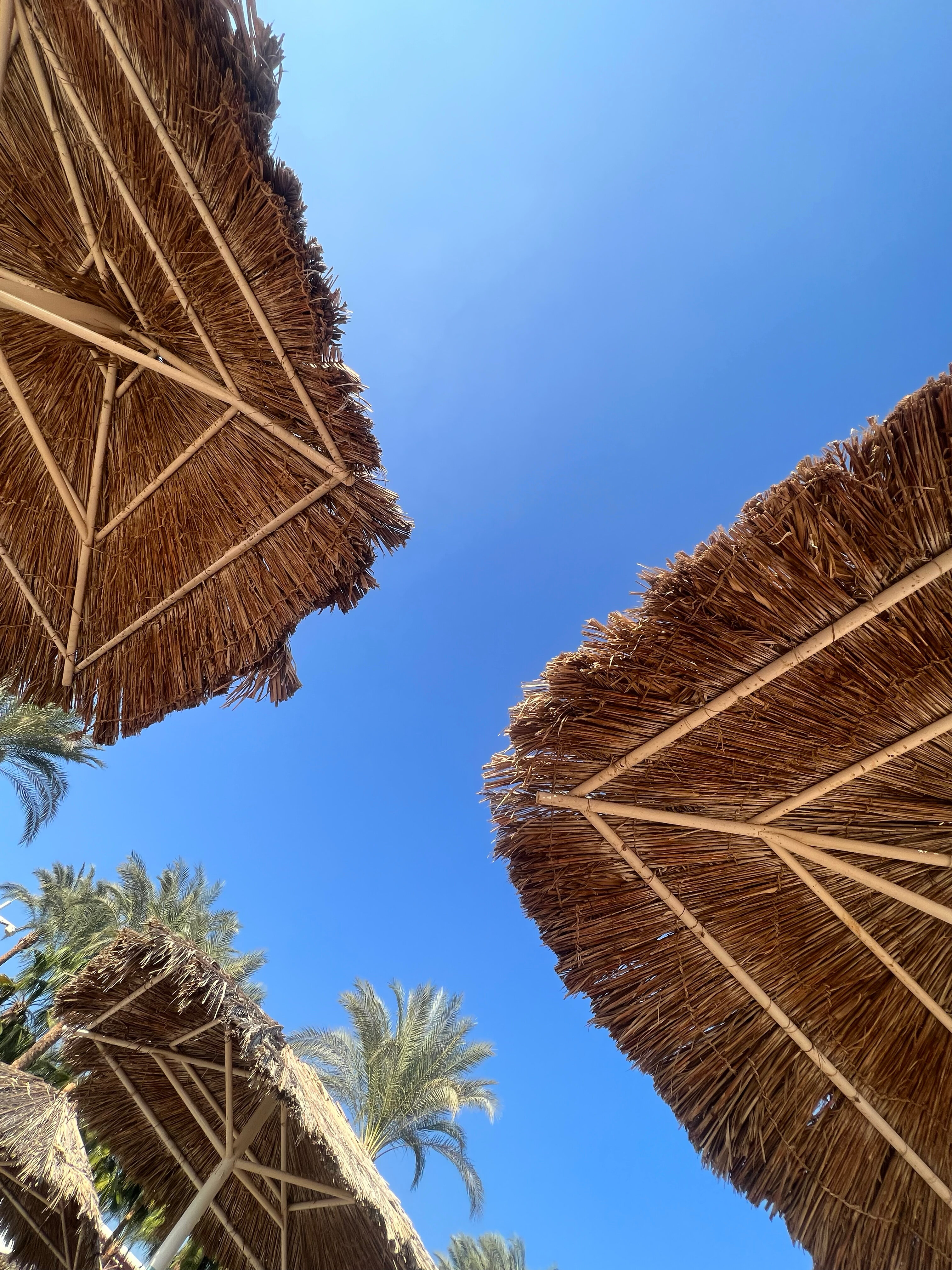 Фото Iberotel Palace