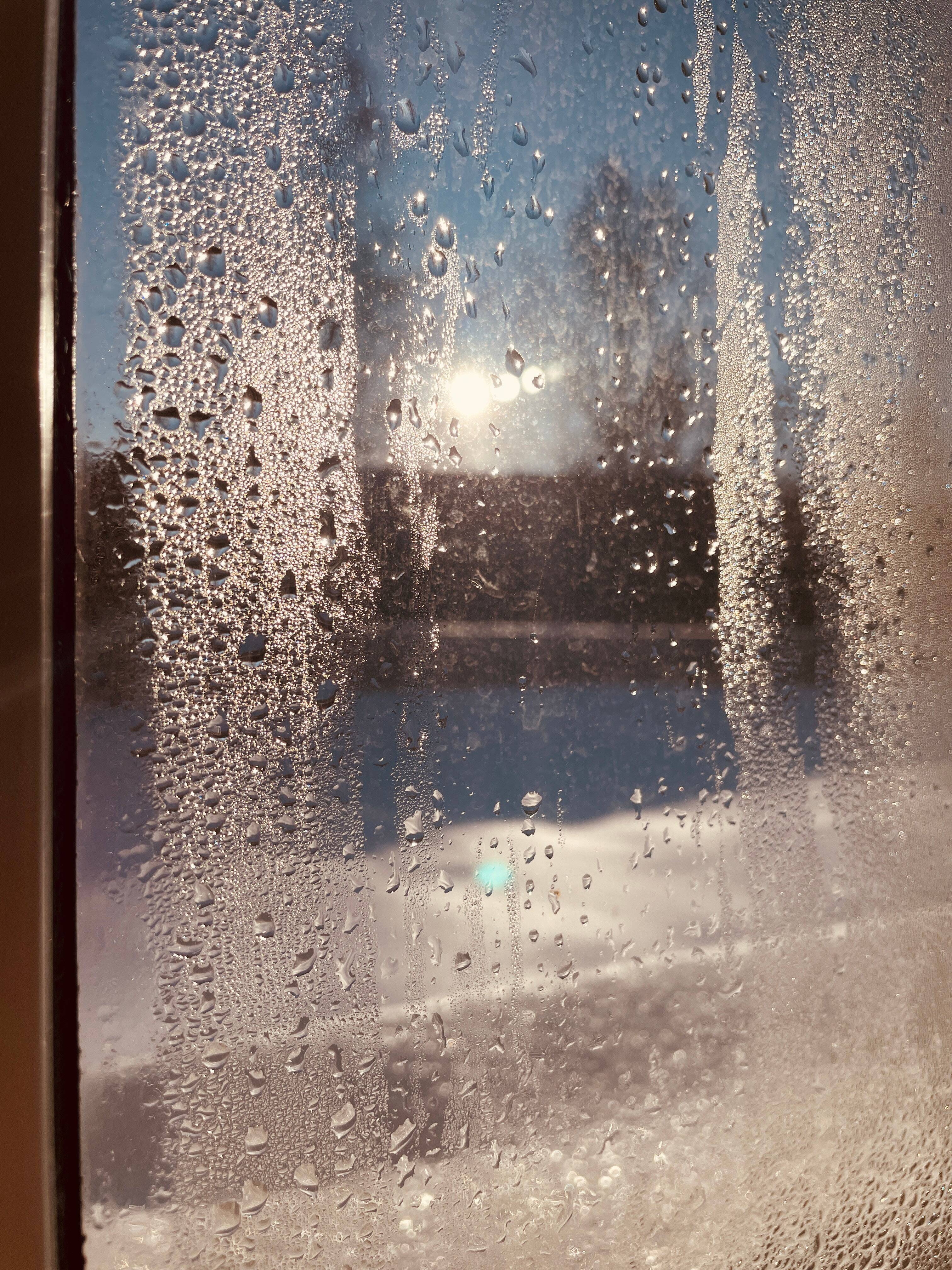 Фото Звёздный