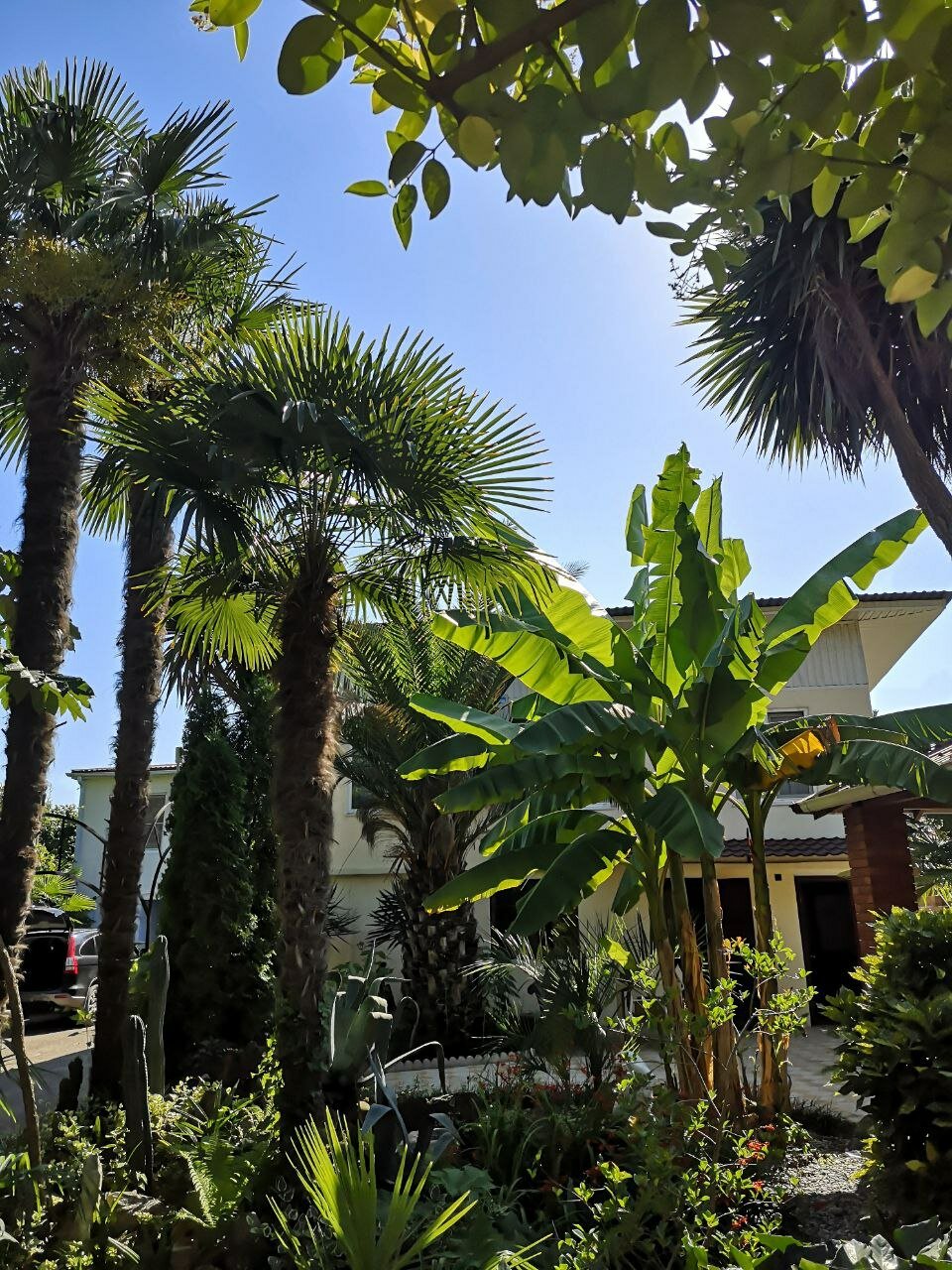 Фото Форелька